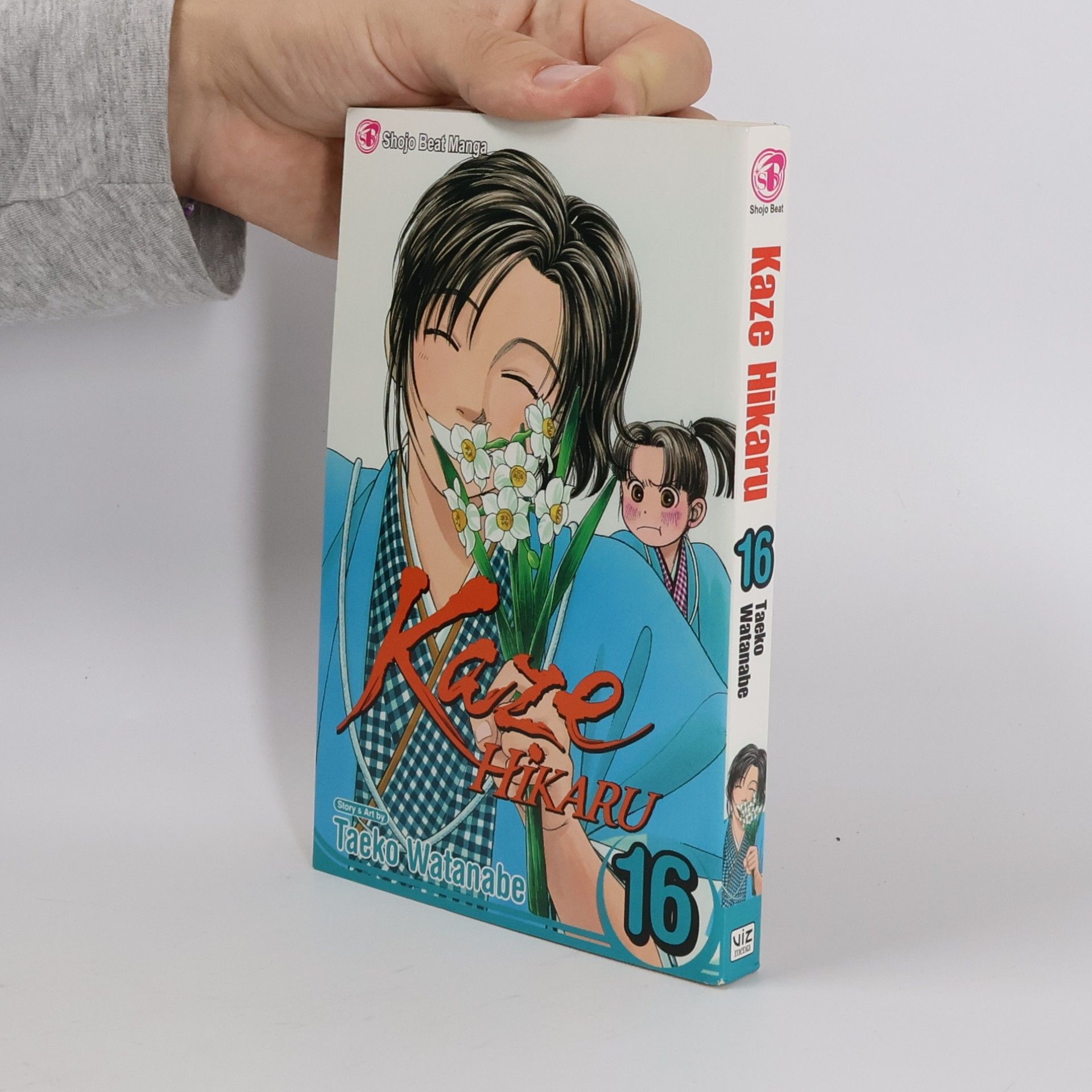 Kaze Hikaru 16