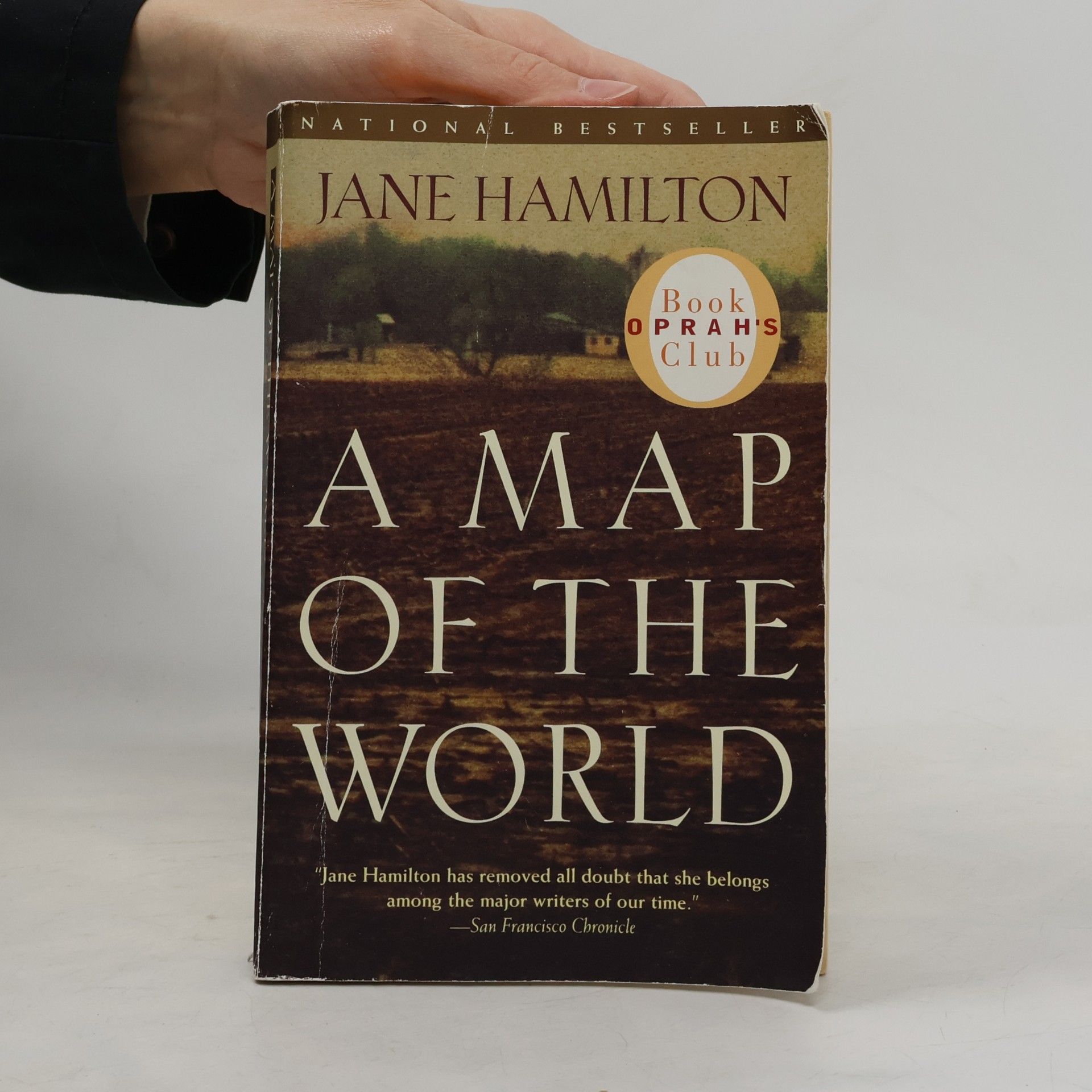 Jane Hamilton A map of the world