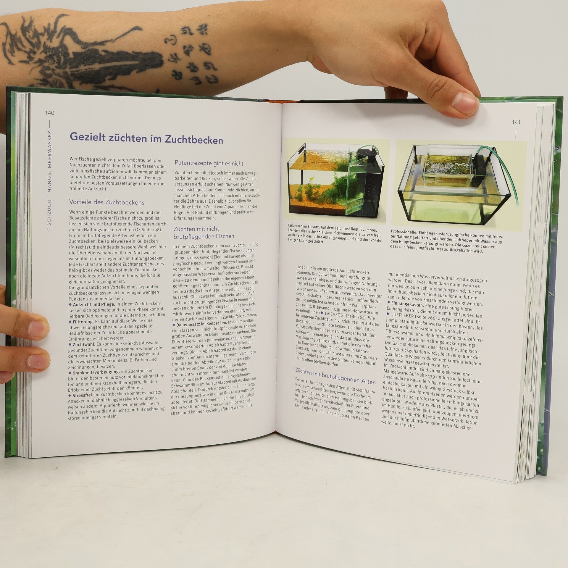 Ulrich K. Schliewen Praxishandbuch Aquarium