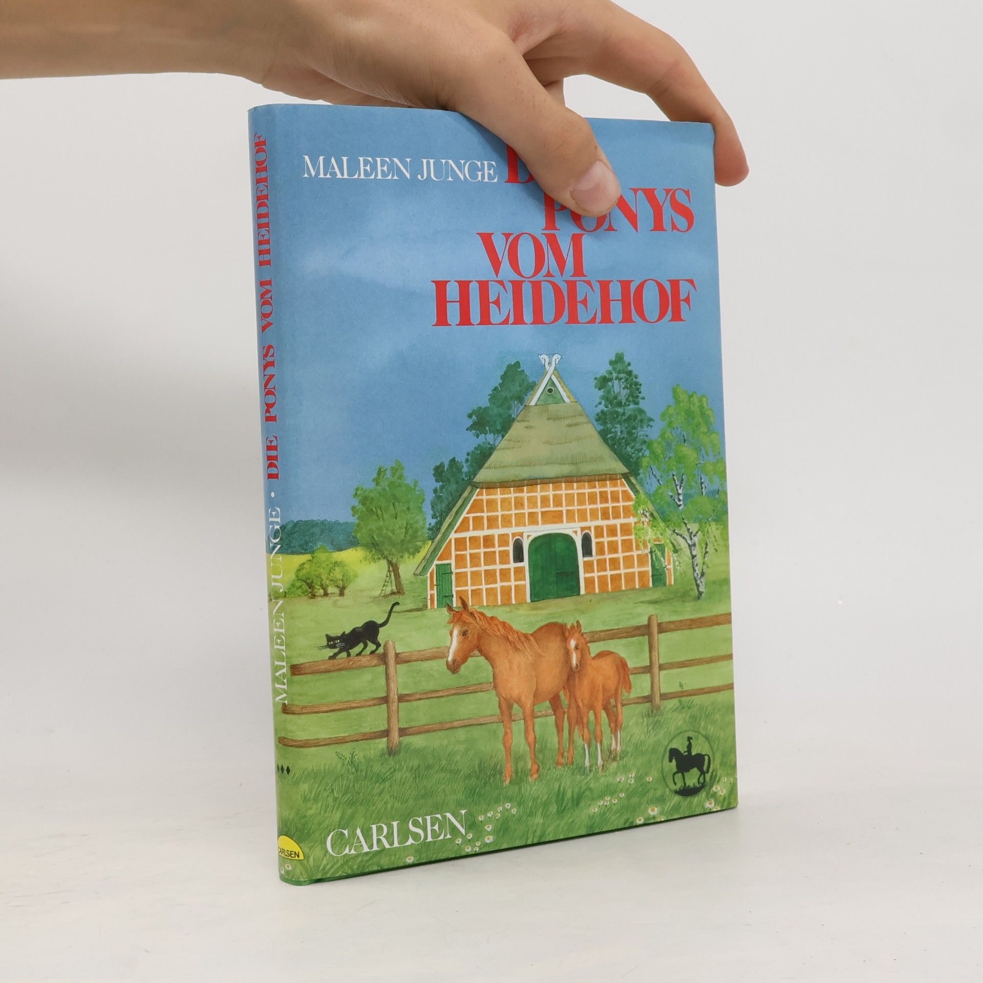 Die Ponys vom Heidehof
