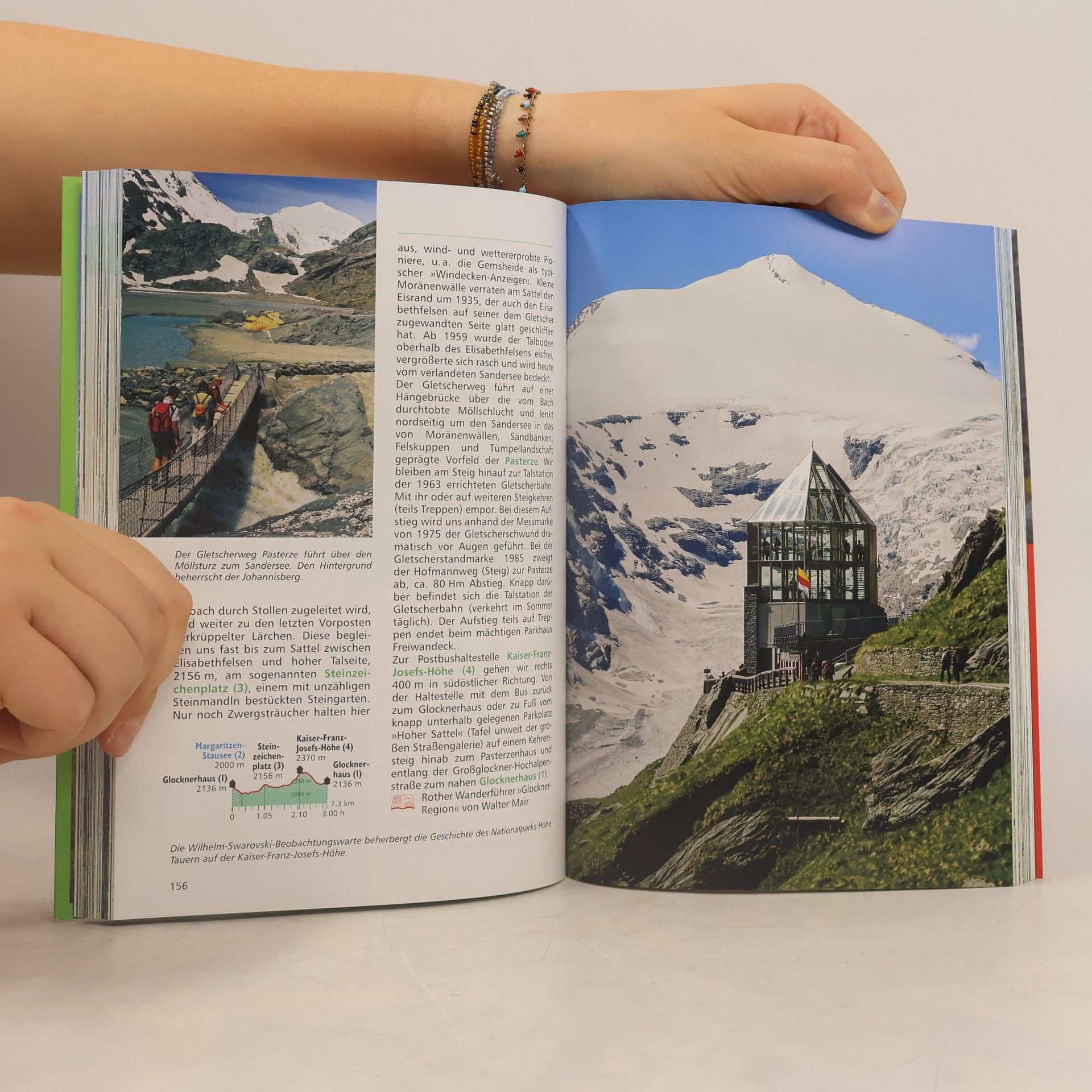 Bergverlag Rother ROTHER Jubiläums-Wanderführer Alpen
