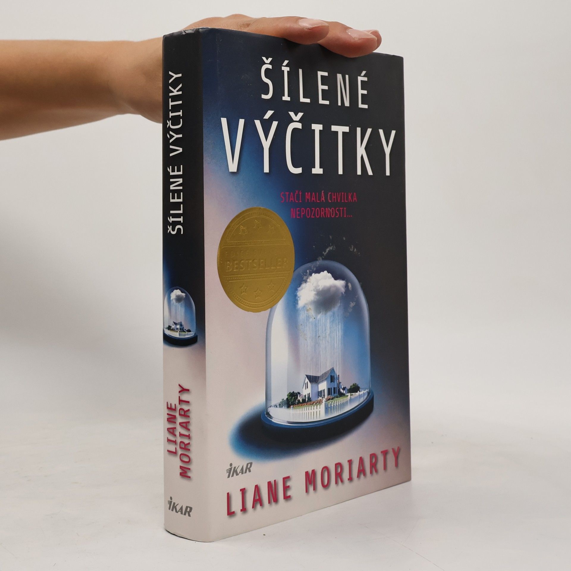 Liane Moriarty Šílené výčitky