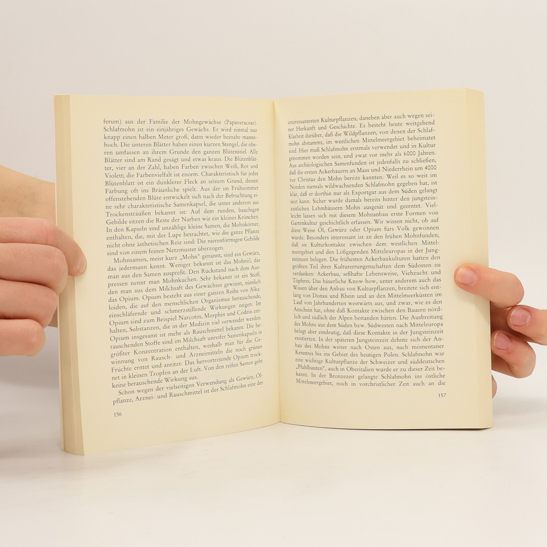 Hansjörg Küster Kleine Kulturgeschichte der Gewürze