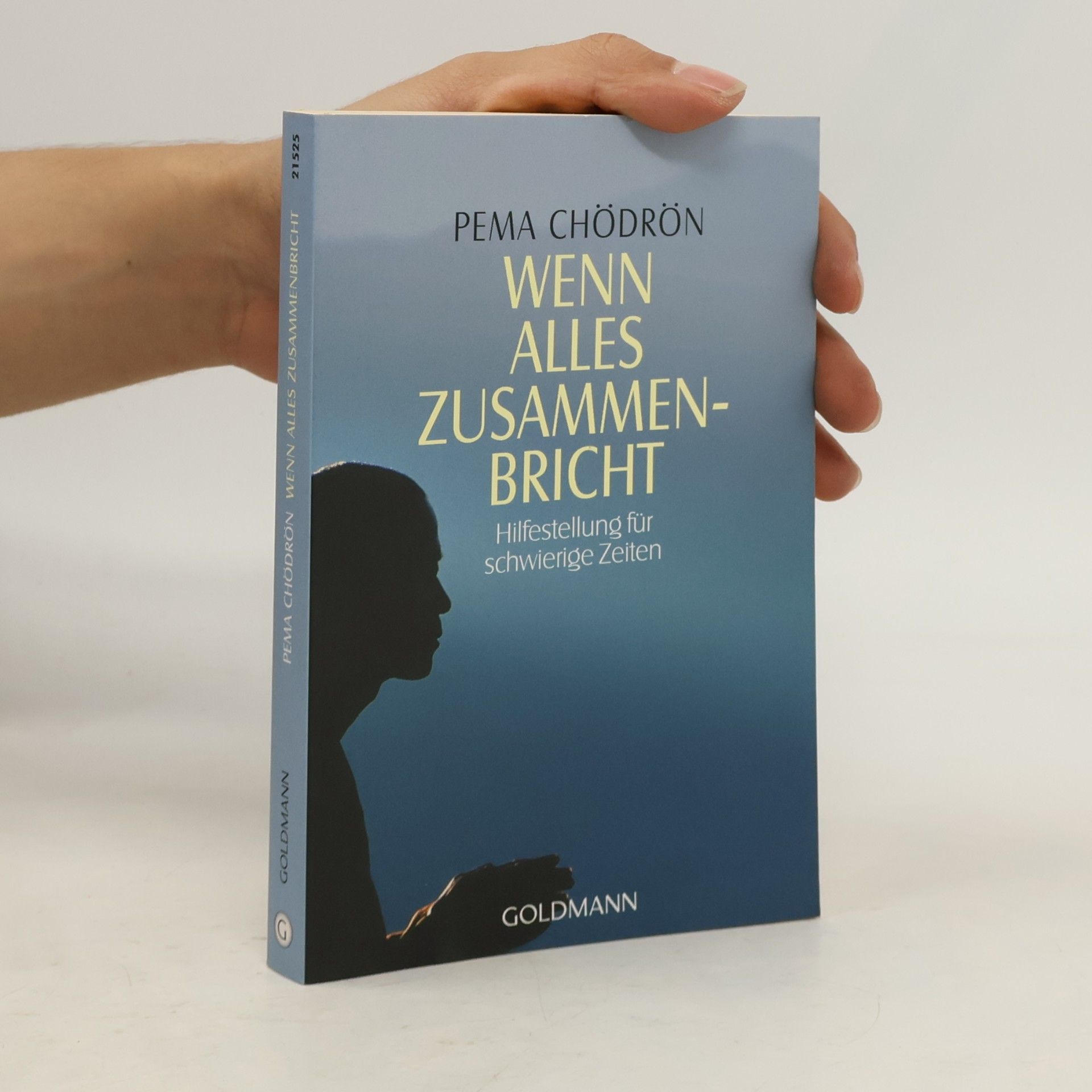 Pema Chödrön Wenn alles zusammenbricht