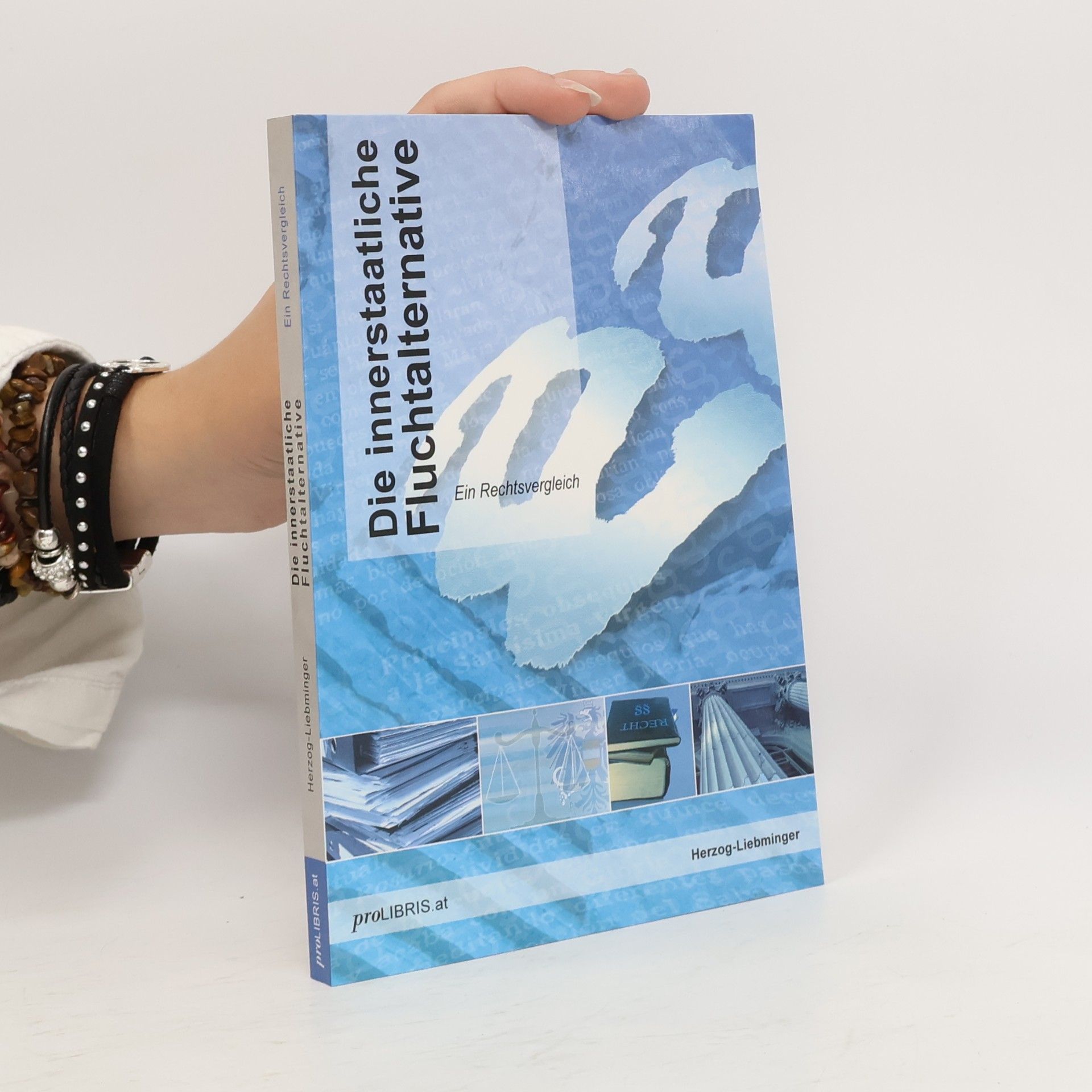 Barbara Herzog-Liebminger Die innerstaatliche Fluchtalternative