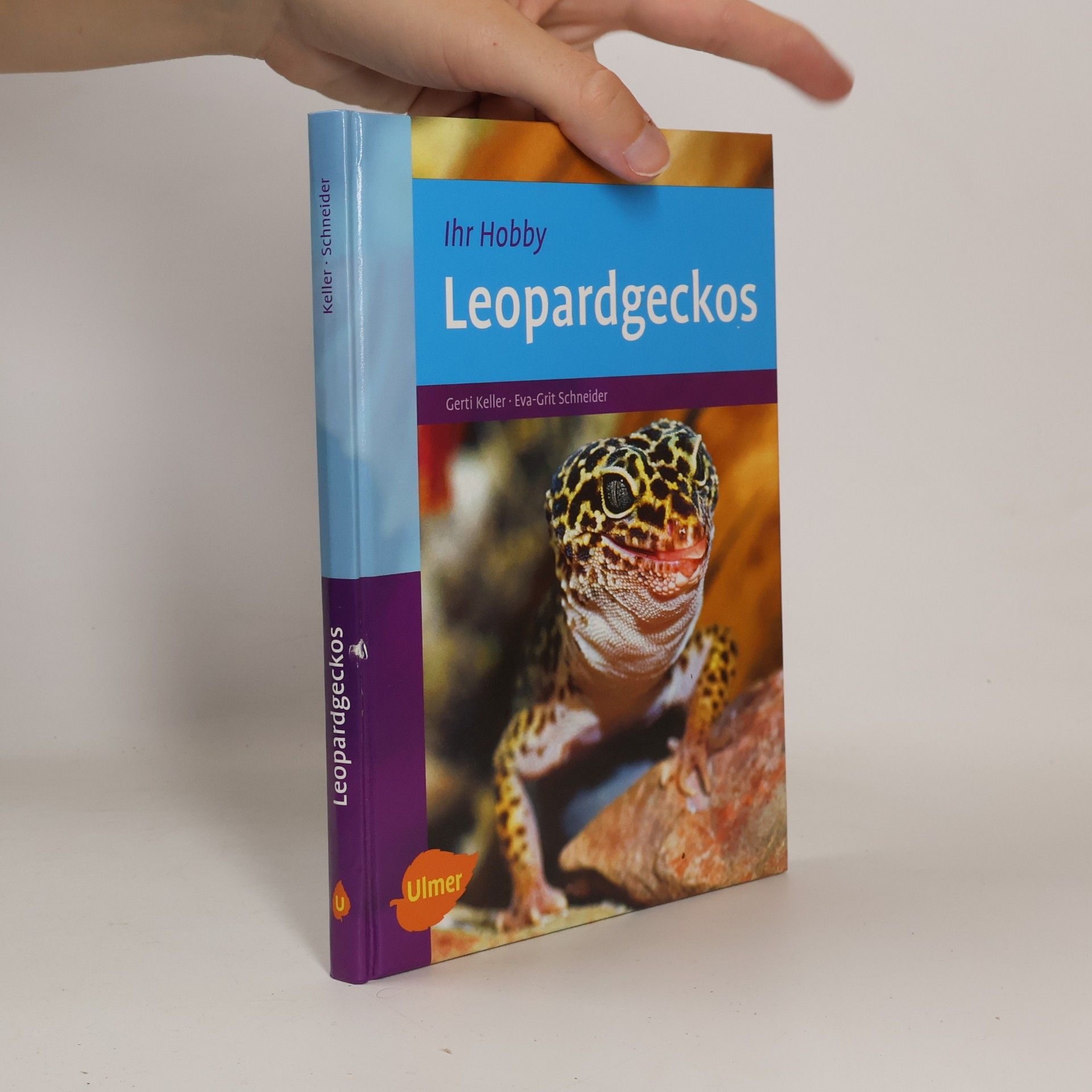 Gerti Keller Leopardgeckos