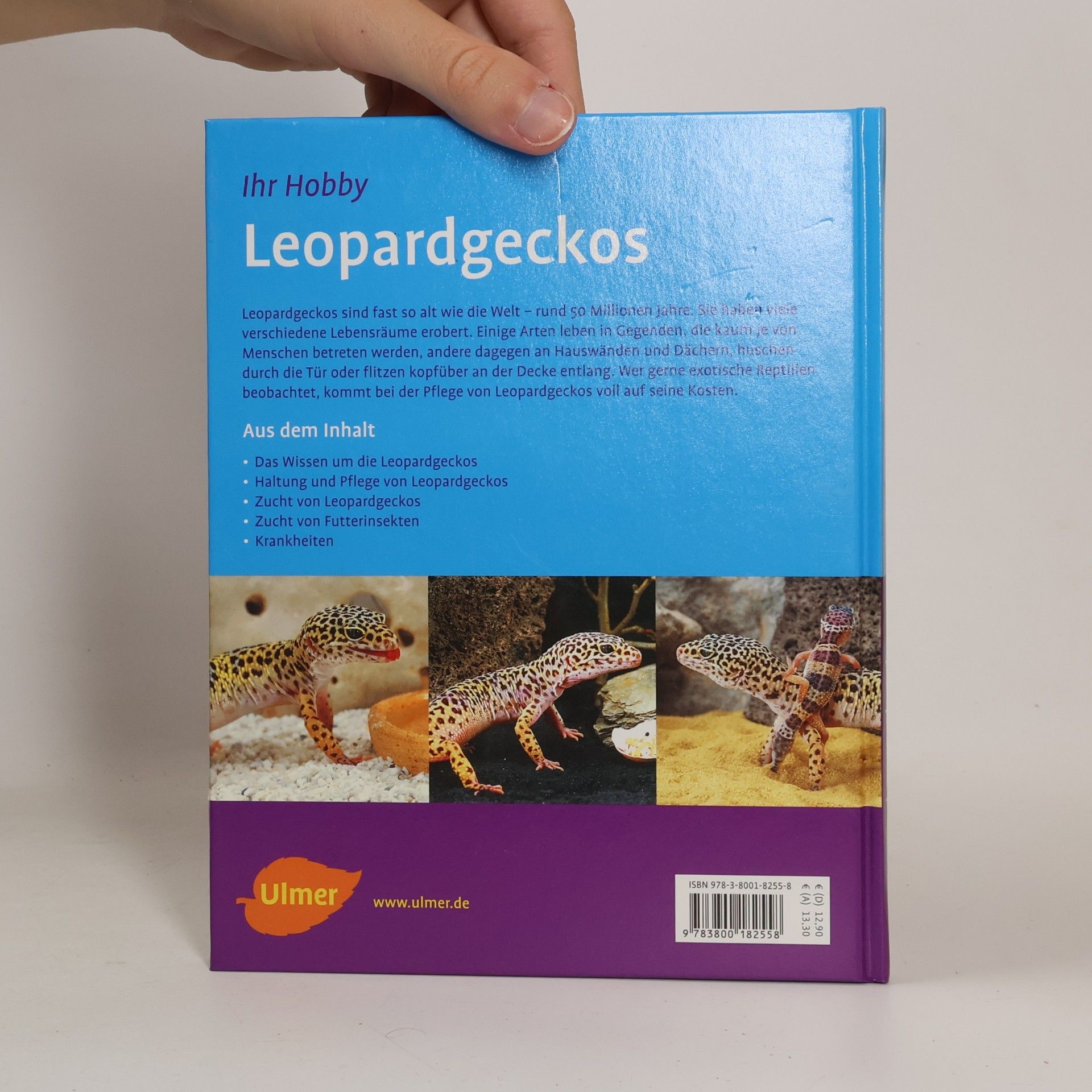 Gerti Keller Leopardgeckos
