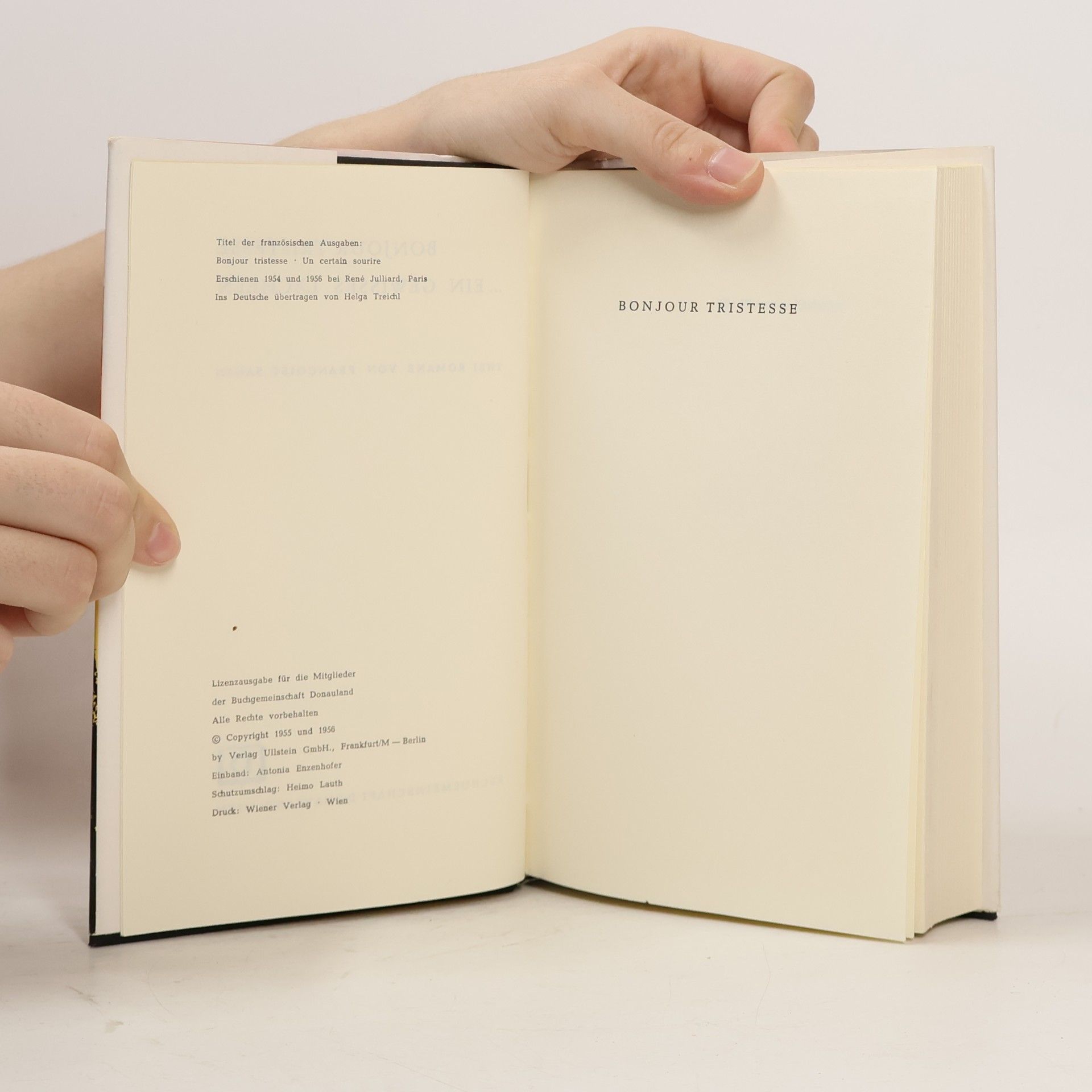 Françoise Sagan Bonjour Tristesse ...Ein Gewisses Lächeln