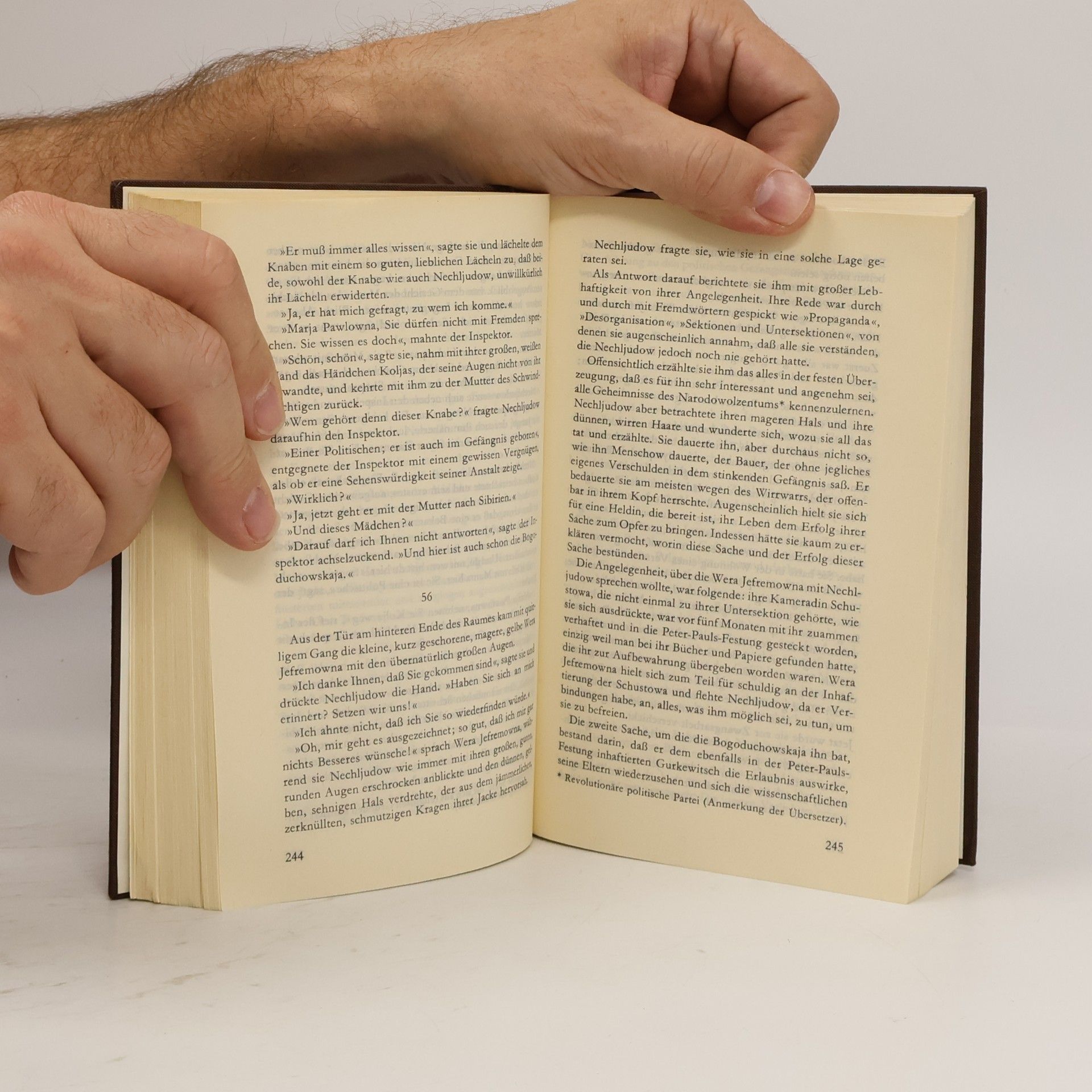 Lev Nikolajevič Tolstoj Auferstehung