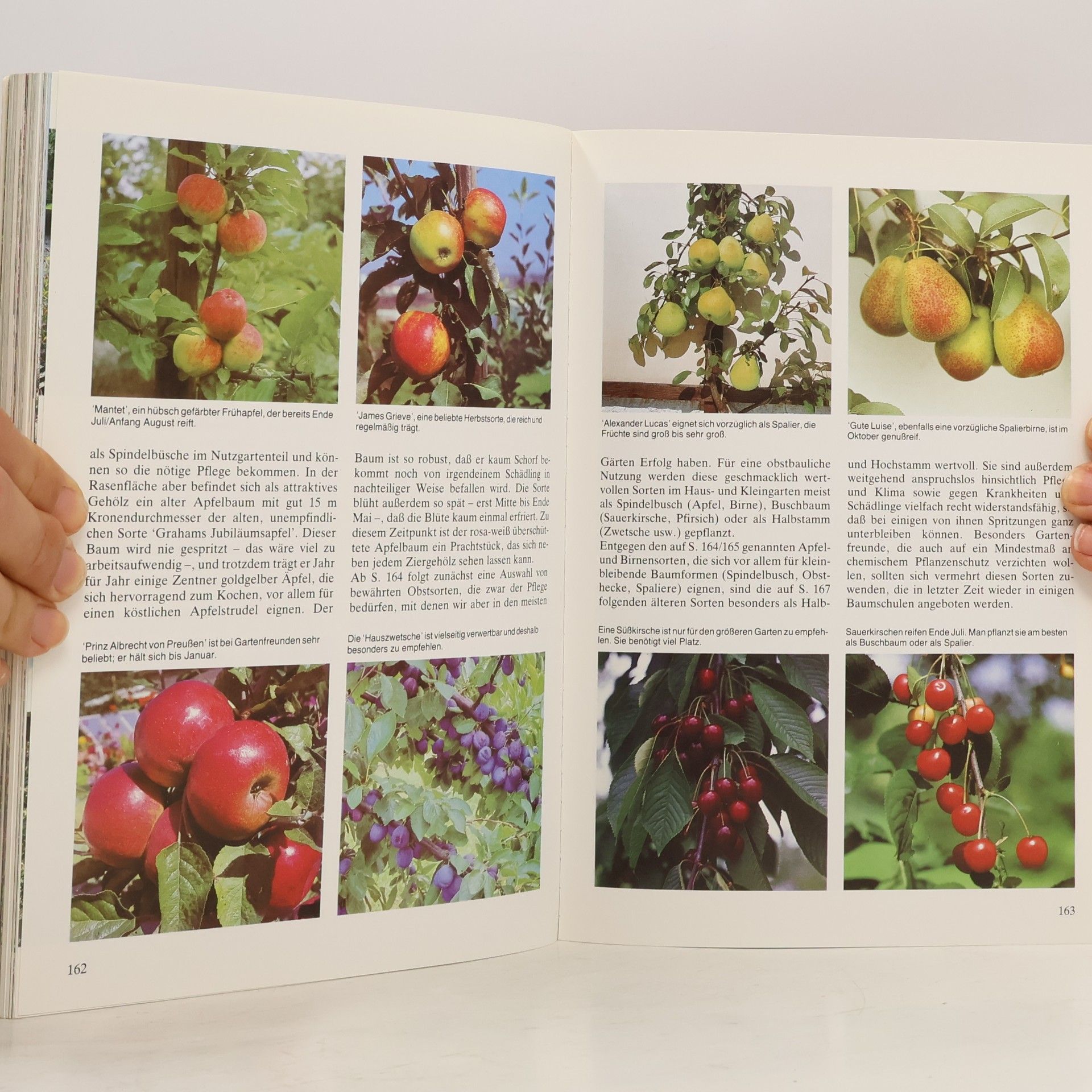Martin Stangl Mein Hobby - der Garten