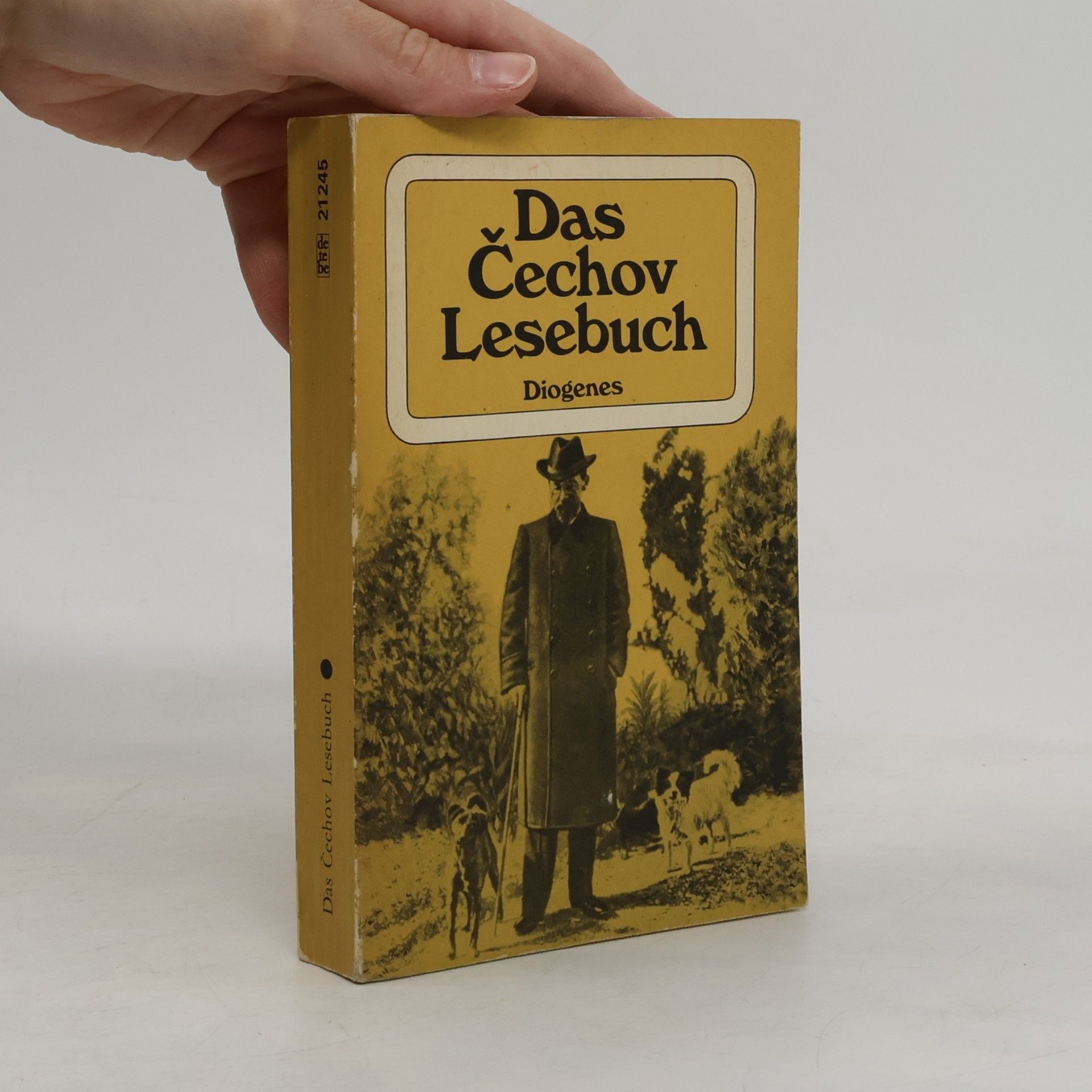 Das Cechov Lesebuch