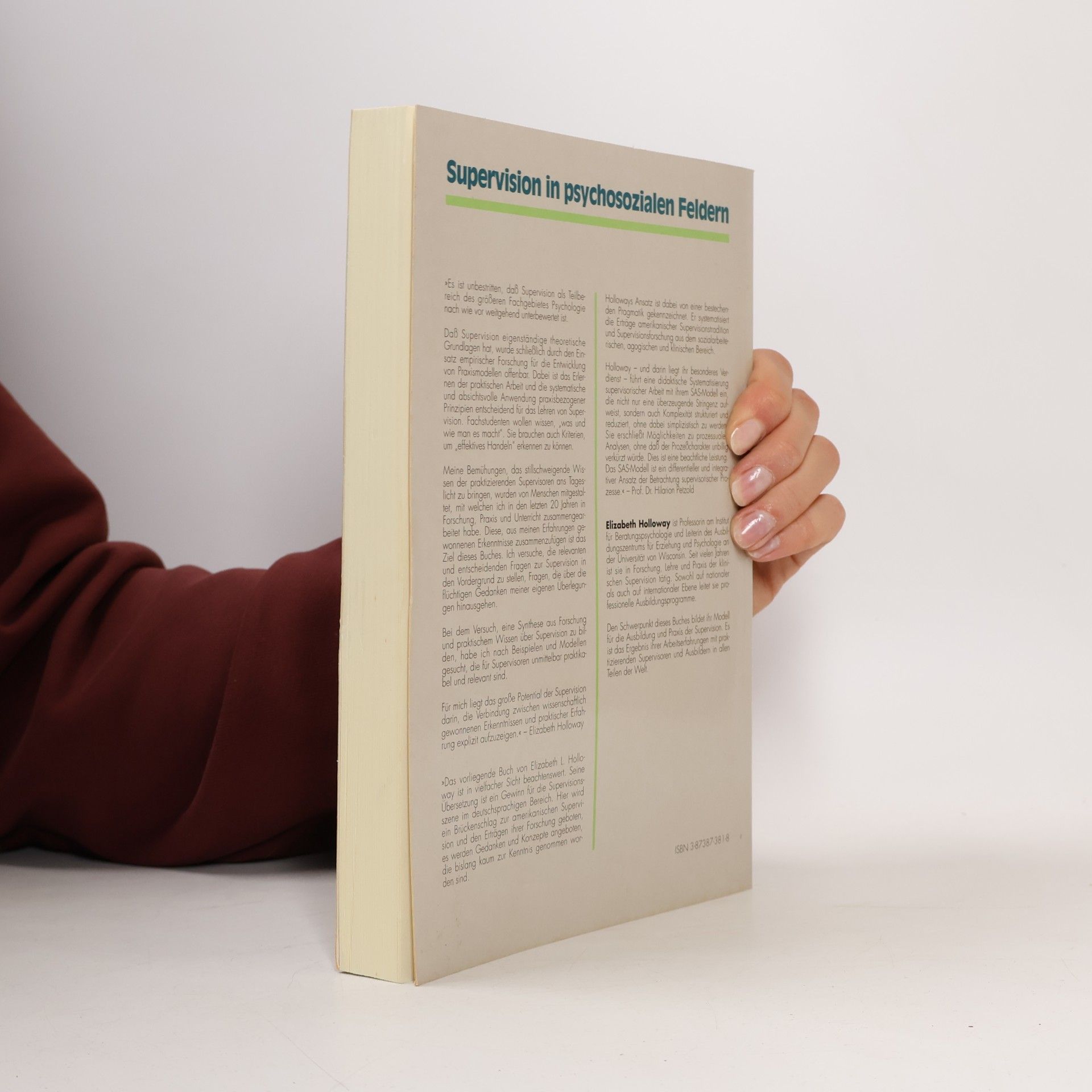 Elizabeth Holloway Supervision in psychosozialen Feldern