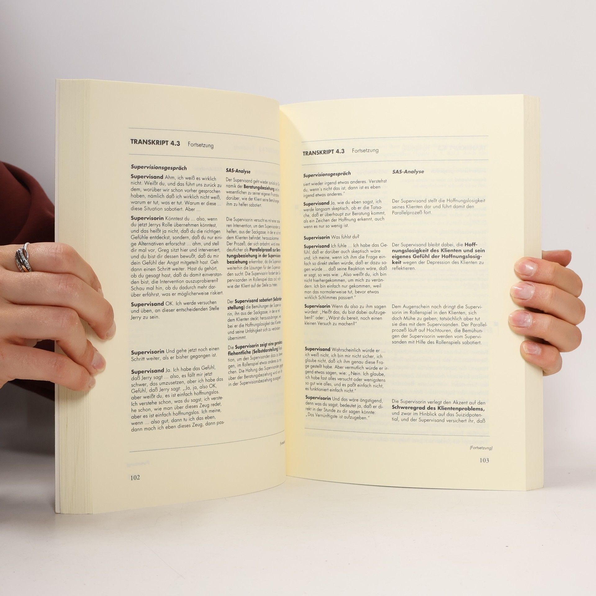 Elizabeth Holloway Supervision in psychosozialen Feldern