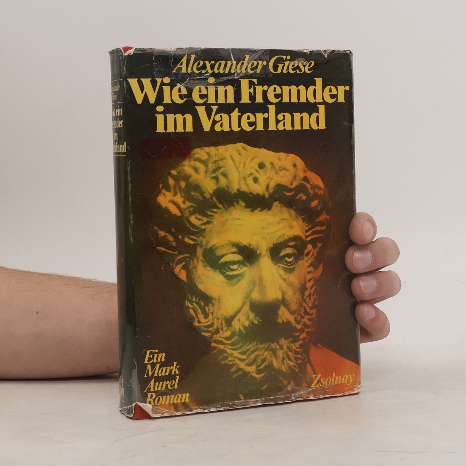 Alexander Giese Wie ein Fremder im Vaterland