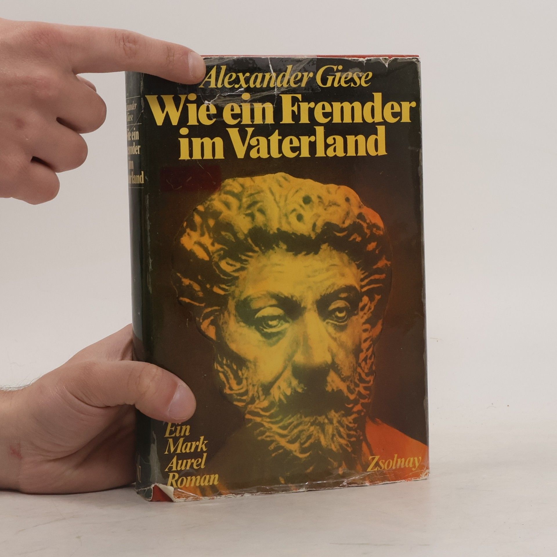 Alexander Giese Wie ein Fremder im Vaterland