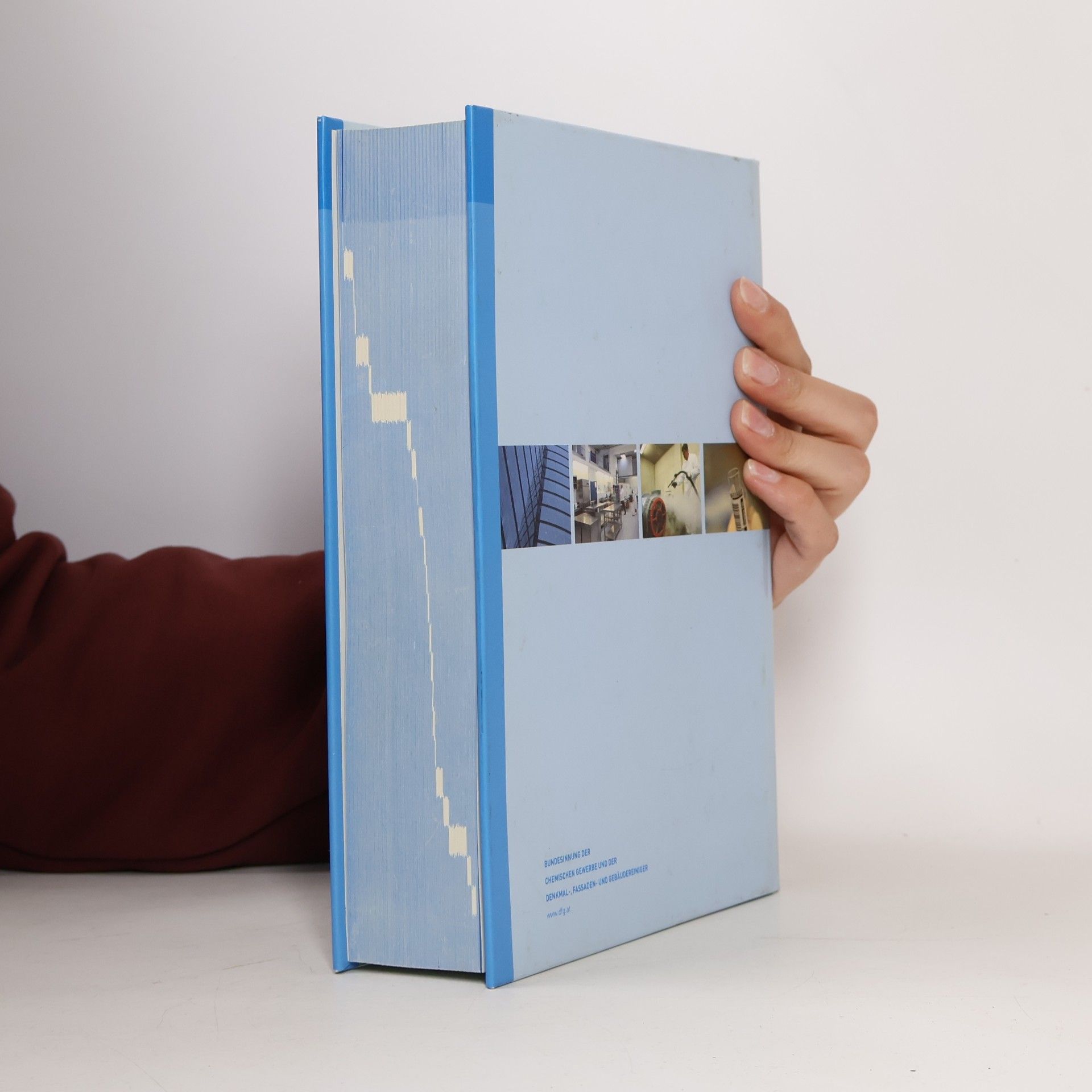 kolektiv Handbuch Meisterprüfung im Denkmal-, Fassaden- und Gebäudereinigungsgewerbe