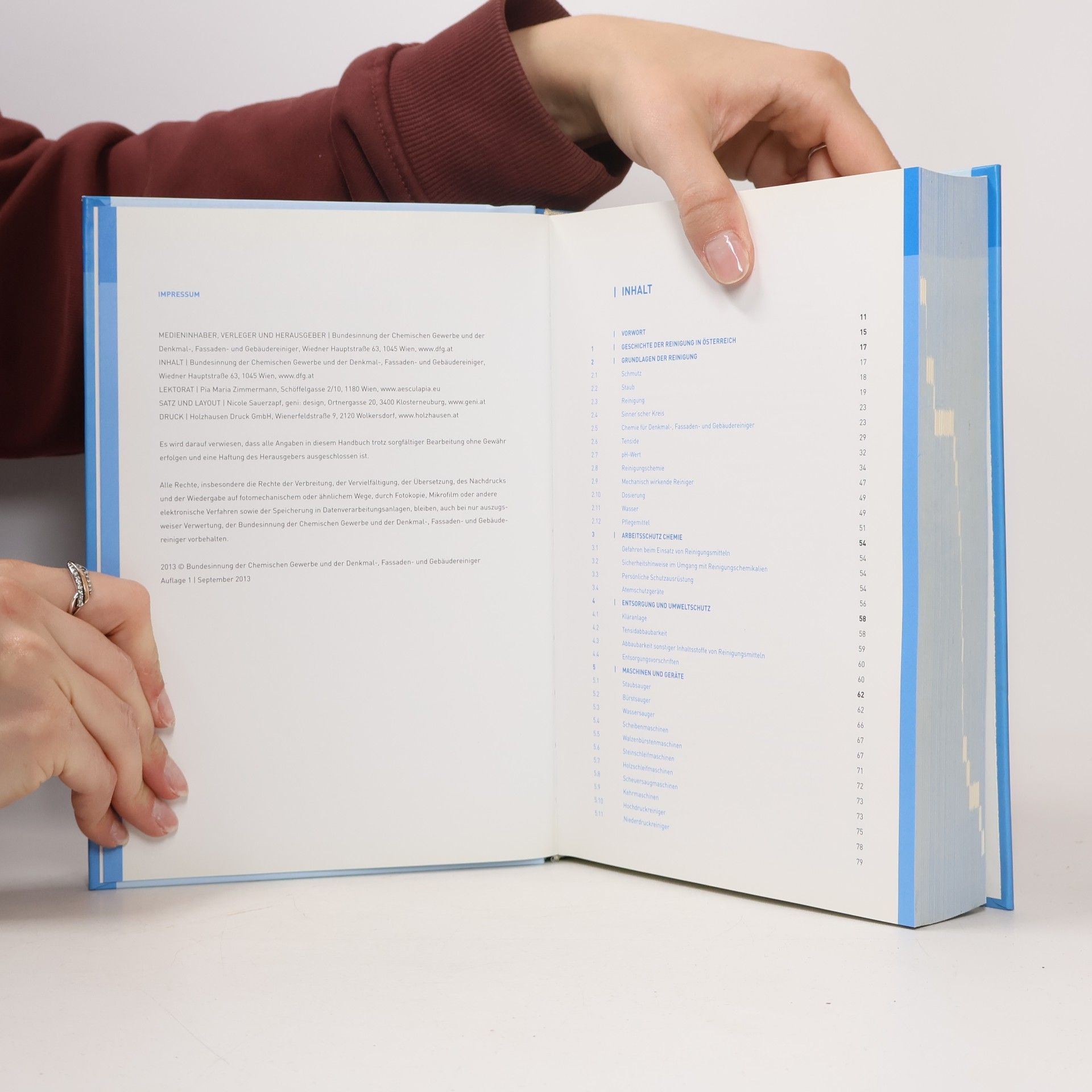 kolektiv Handbuch Meisterprüfung im Denkmal-, Fassaden- und Gebäudereinigungsgewerbe