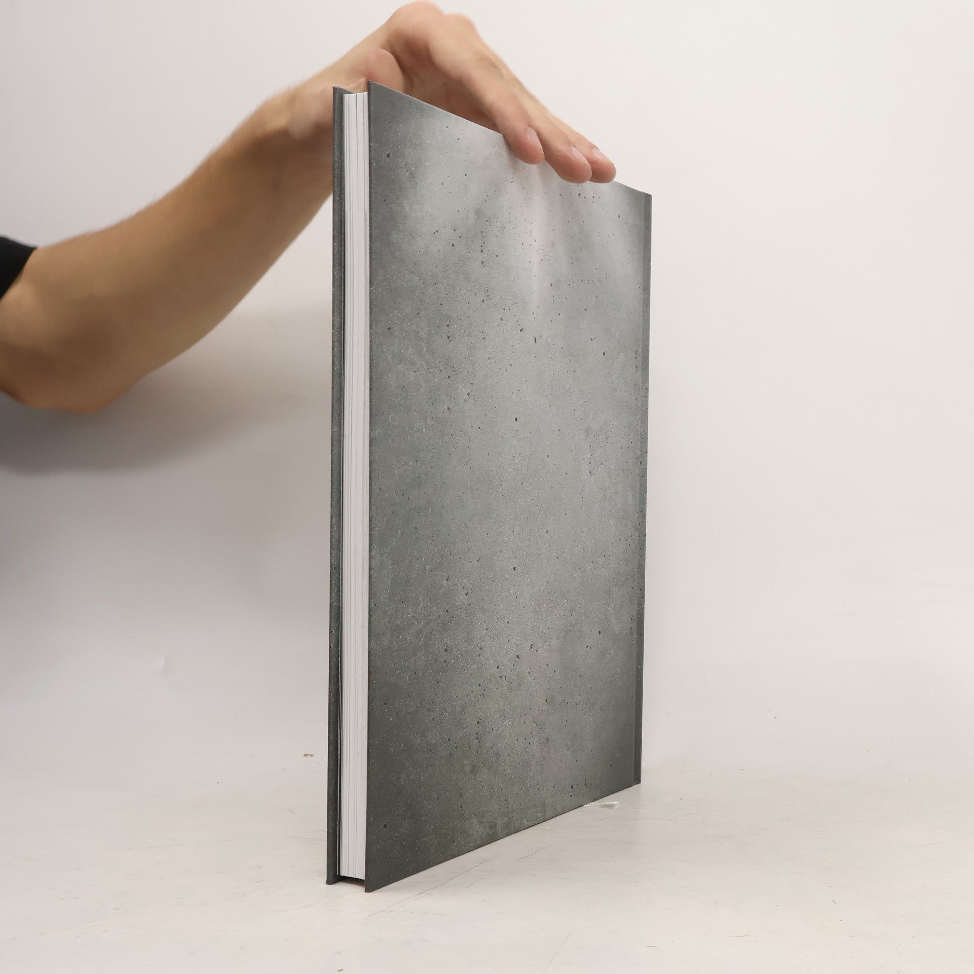 Various authors Energiespeicher Beton. Thermische Bauteilaktivierung