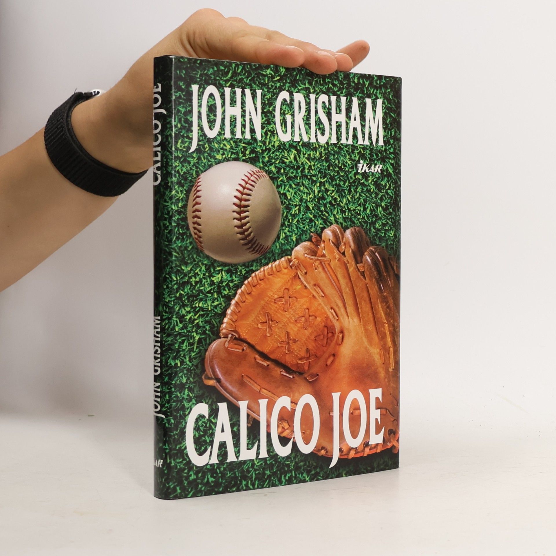 John Grisham Calico Joe