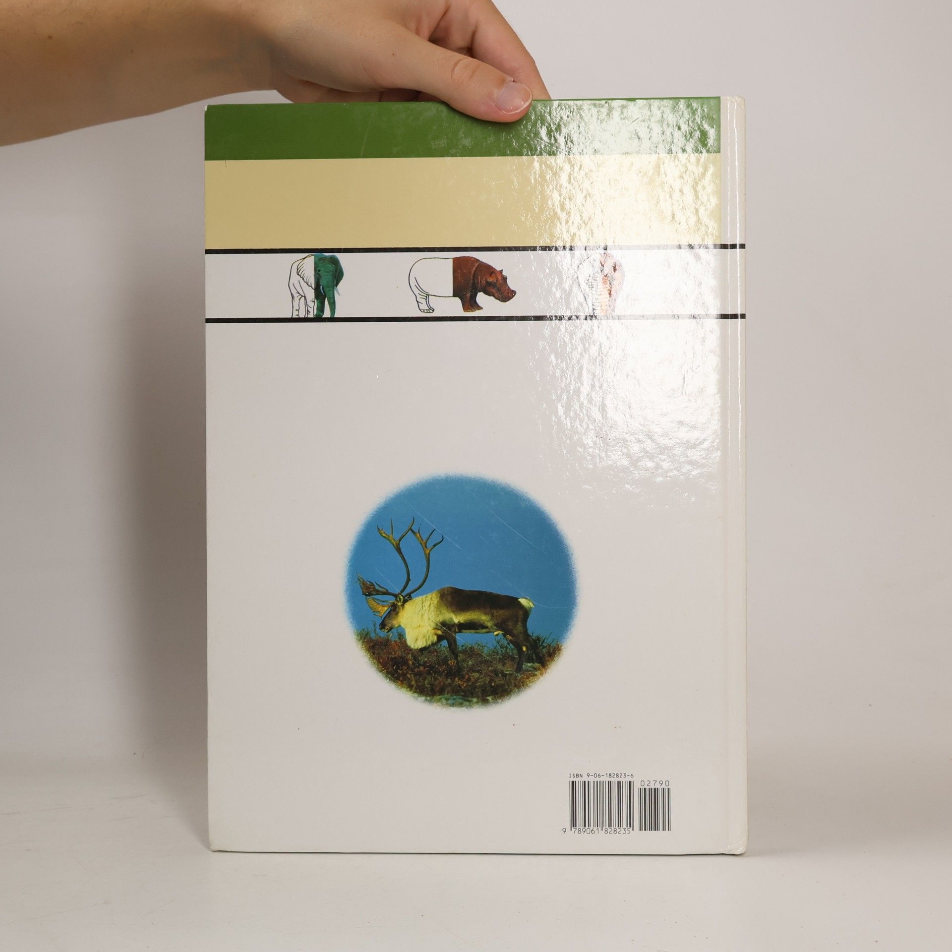 Autorenkollektiv Tiere in der Natur