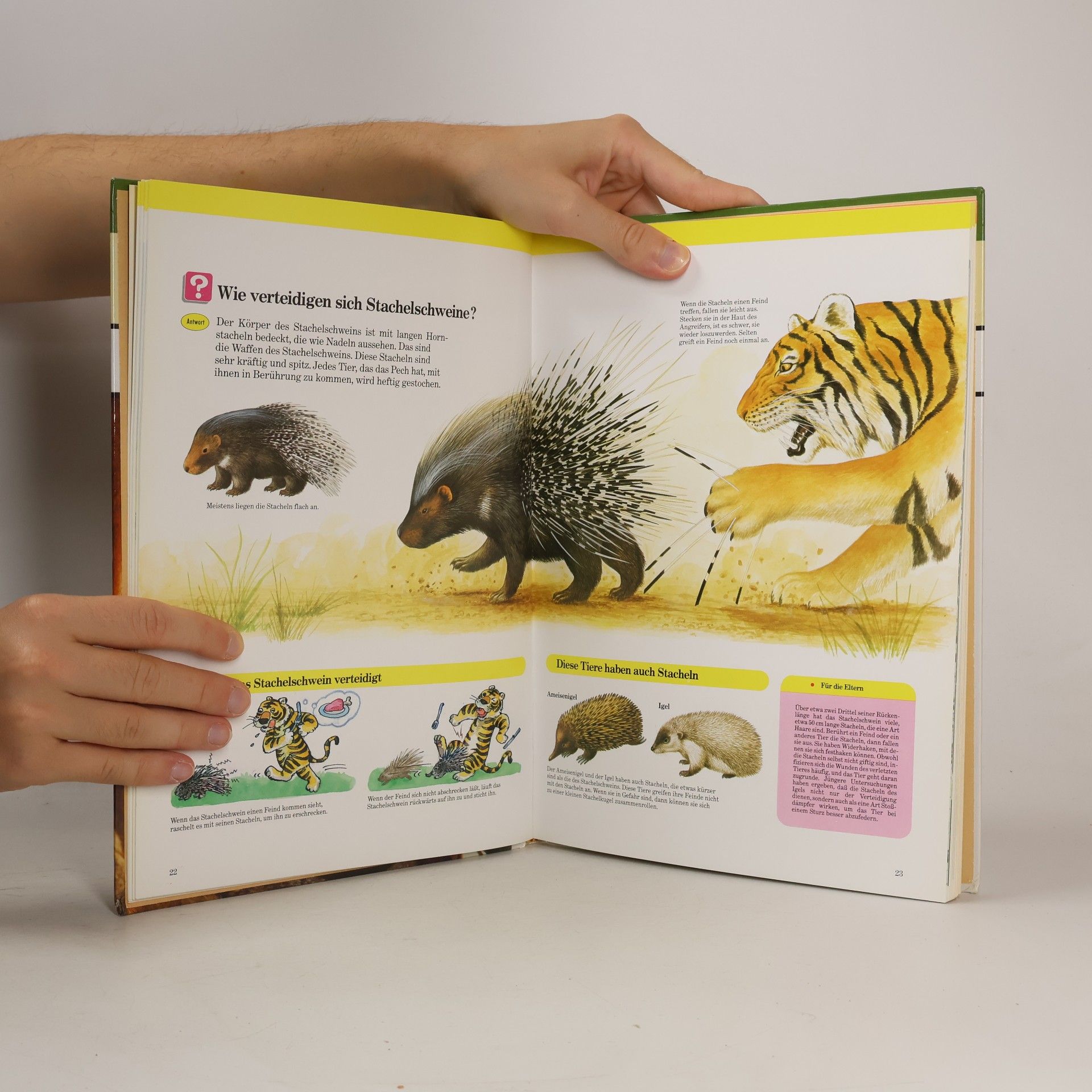 Autorenkollektiv Tiere in der Natur