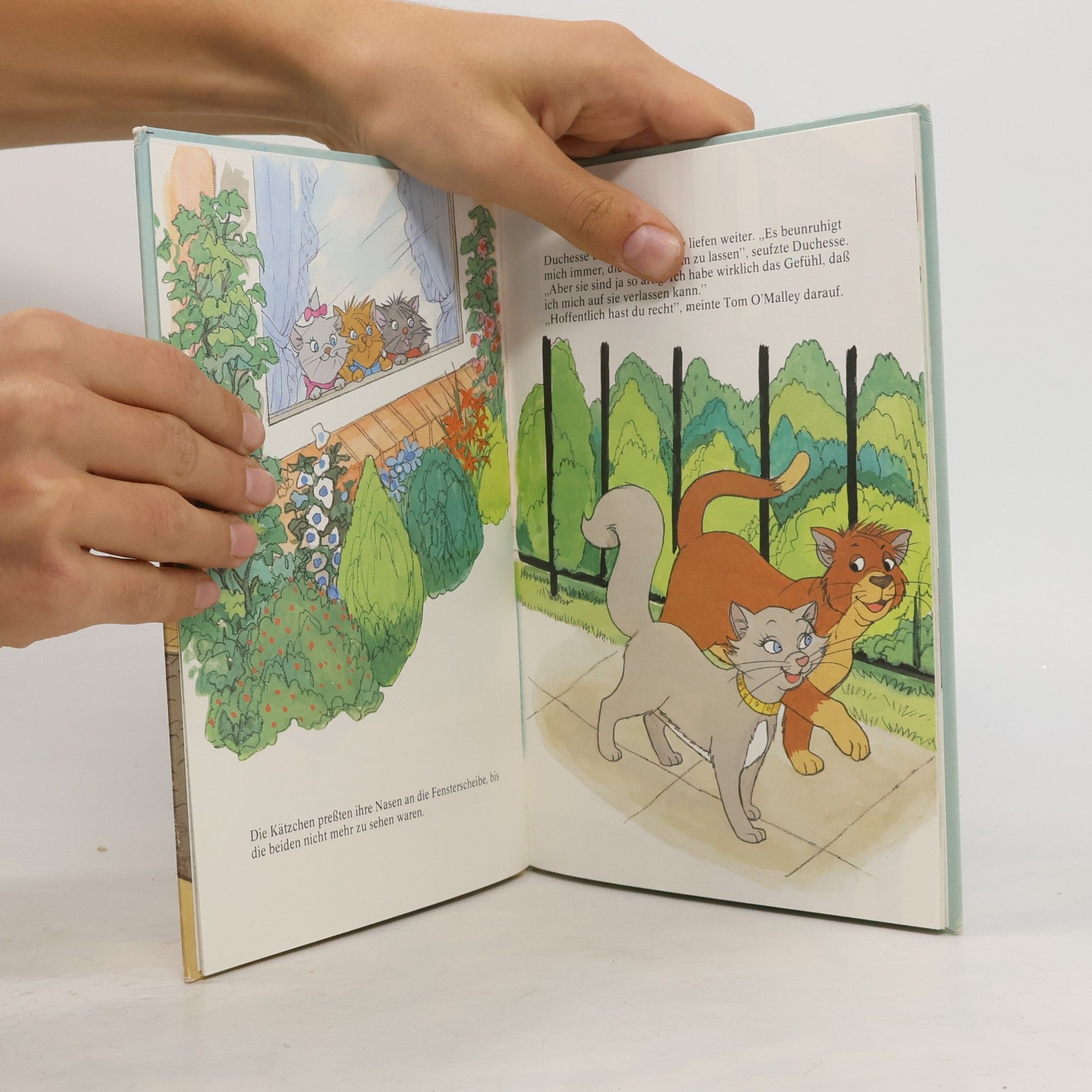 Autorenkollektiv Die Aristocats auf Abwegen