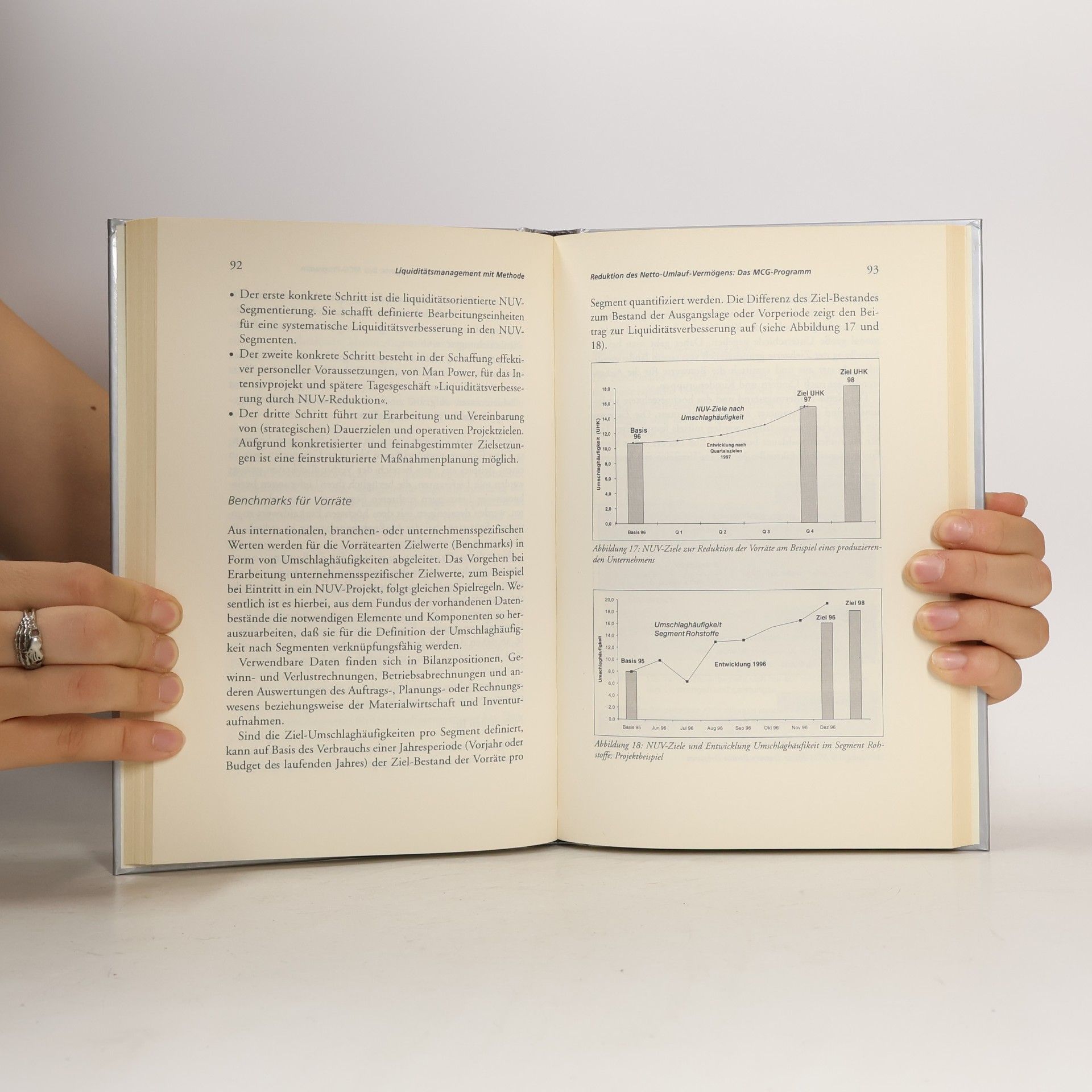 Rudolf Mosnik Liquiditätsmanagement mit Methode
