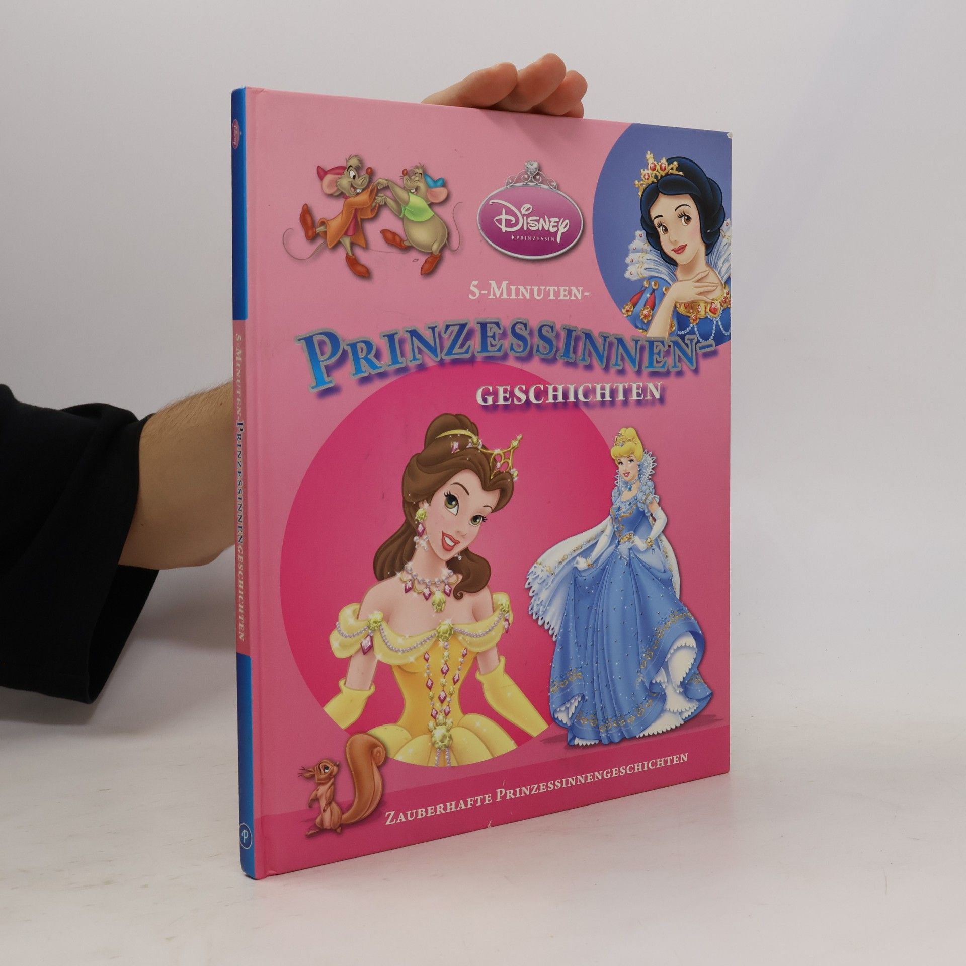 AA.VV. Prinzessinnen Geschichten 1