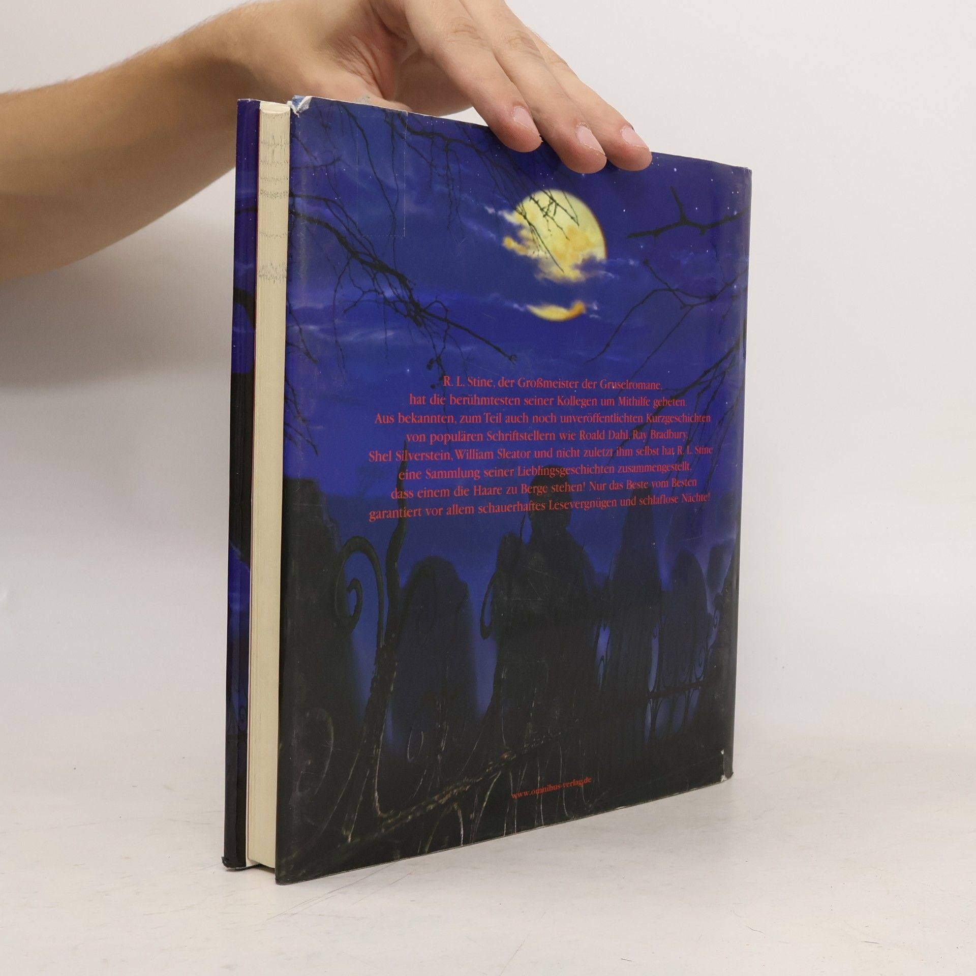 R. L. Stine Vorsicht, Grusel!
