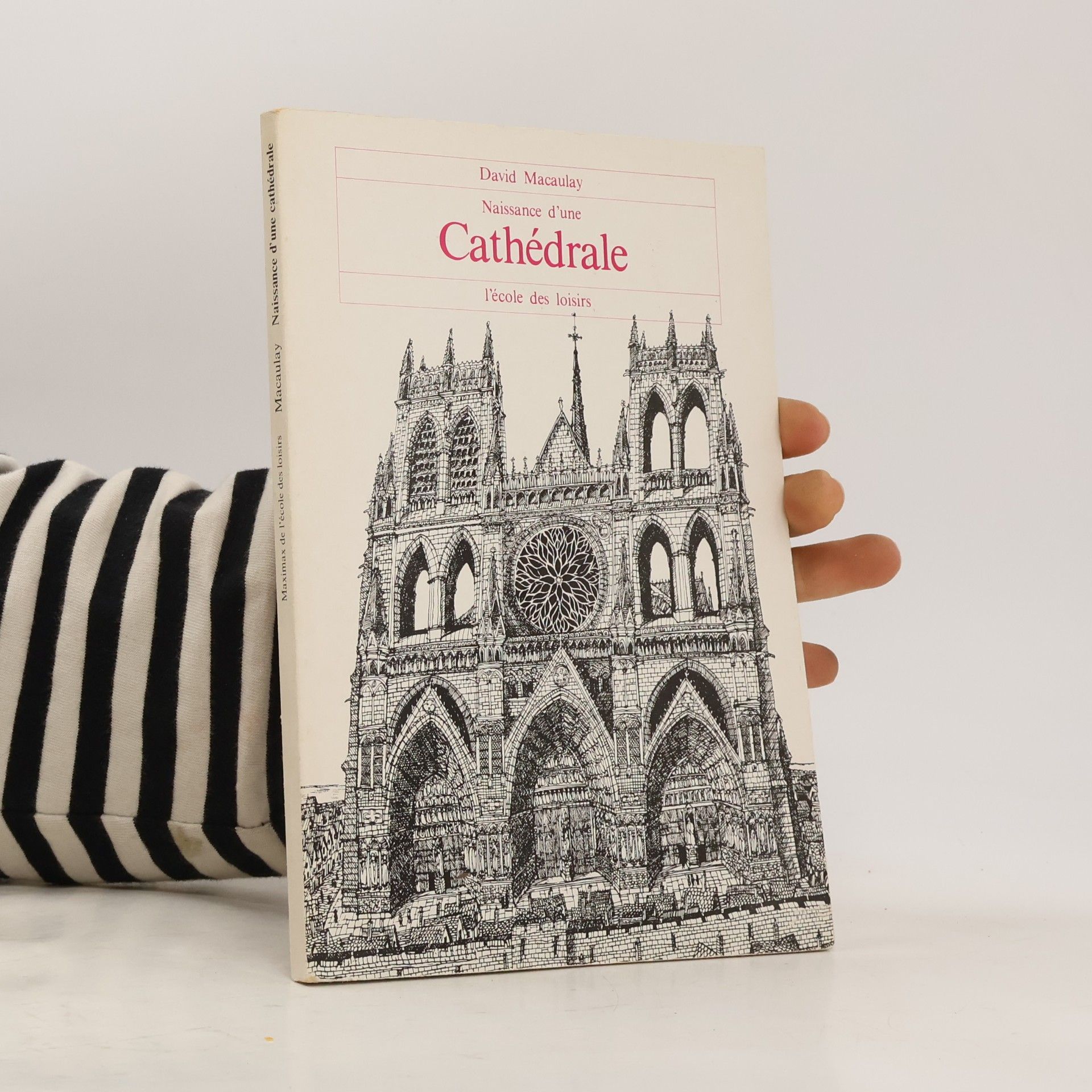 David Macaulay Naissance d'une cathédrale
