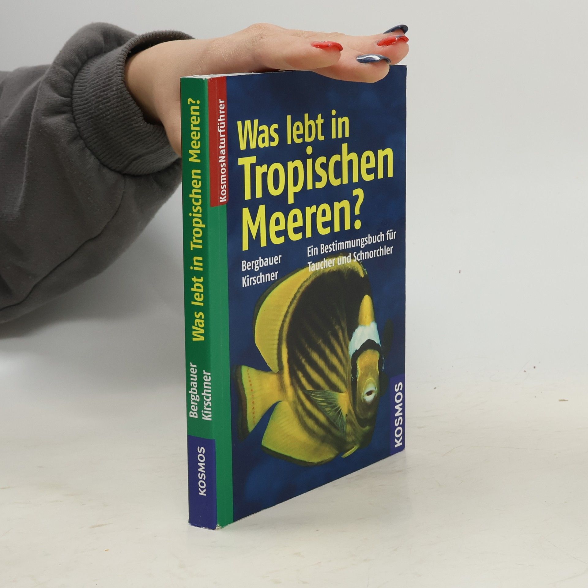 Manuela Kirschner Was lebt in tropischen Meeren?