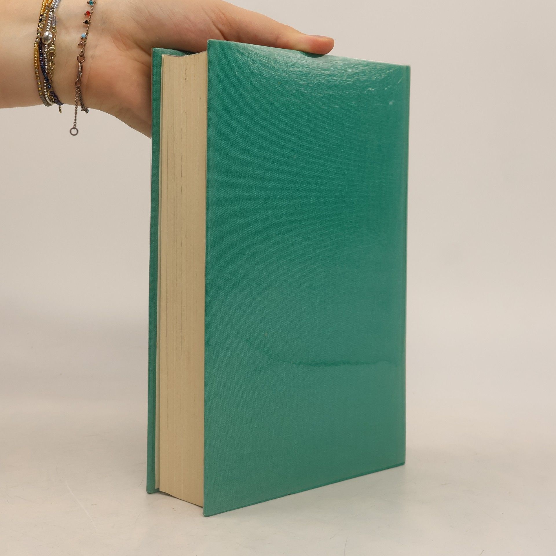 Fernard Braudel Die Geschichte der Zivilisation
