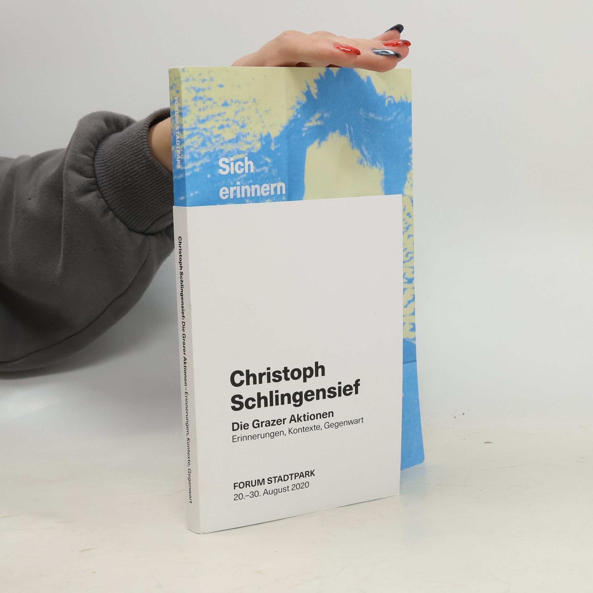 Christoph Schlingensief Die Grazer Aktionen