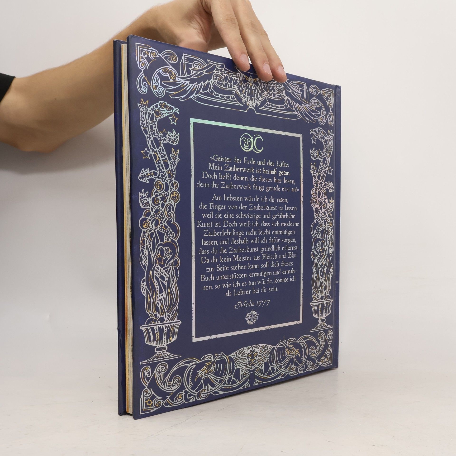 Meister Merlin Das geheime Buch der Magie