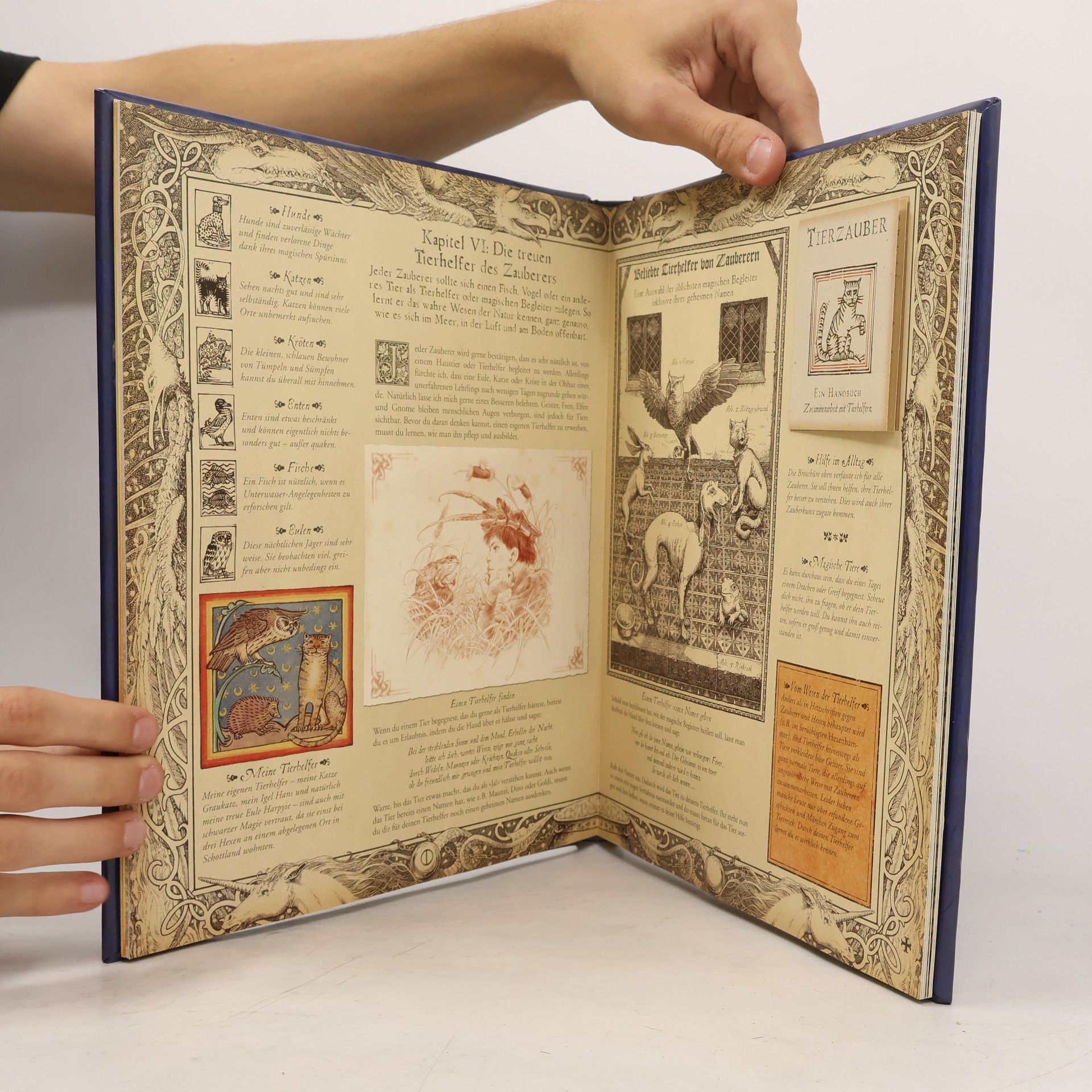 Meister Merlin Das geheime Buch der Magie