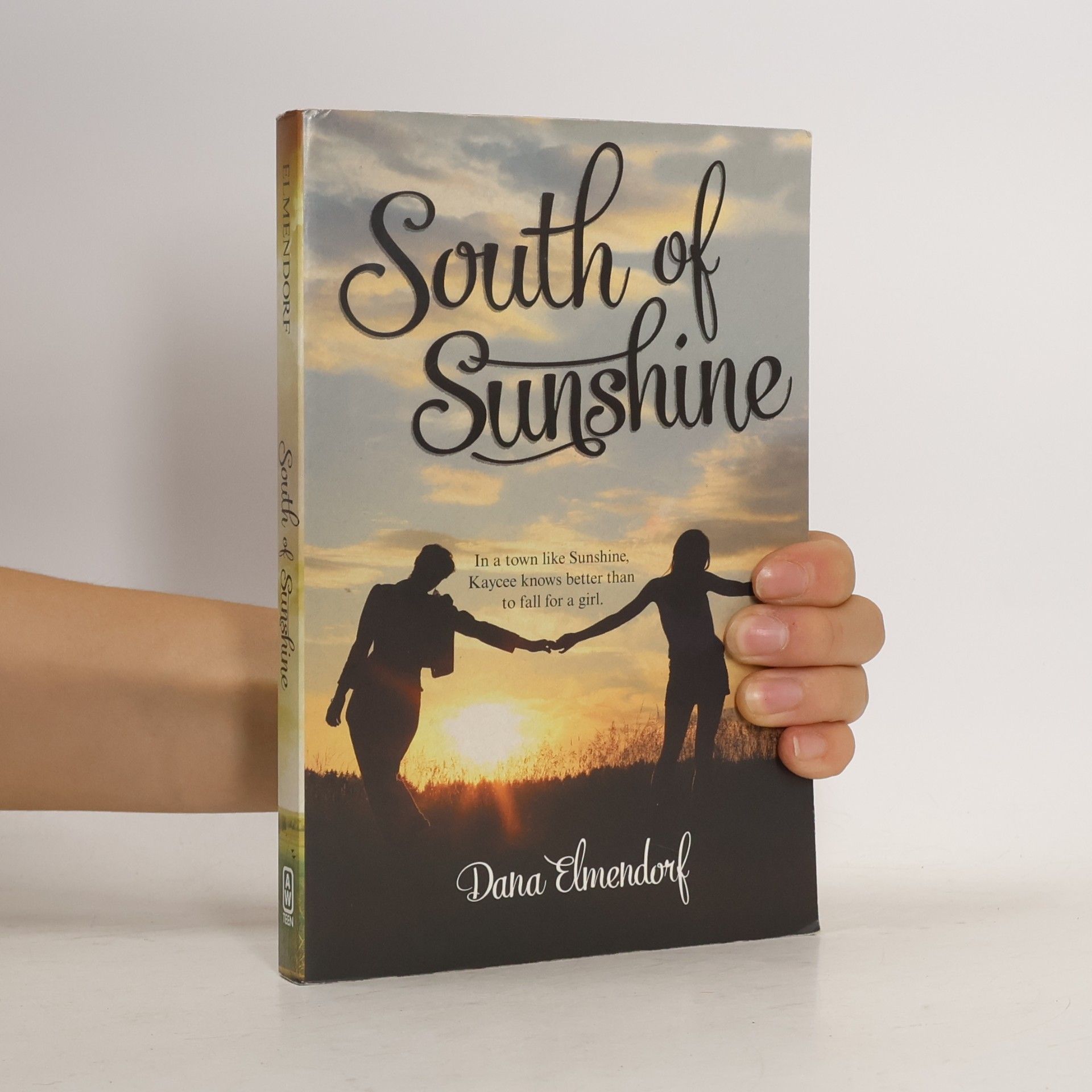 Dana Elmendorf South of Sunshine