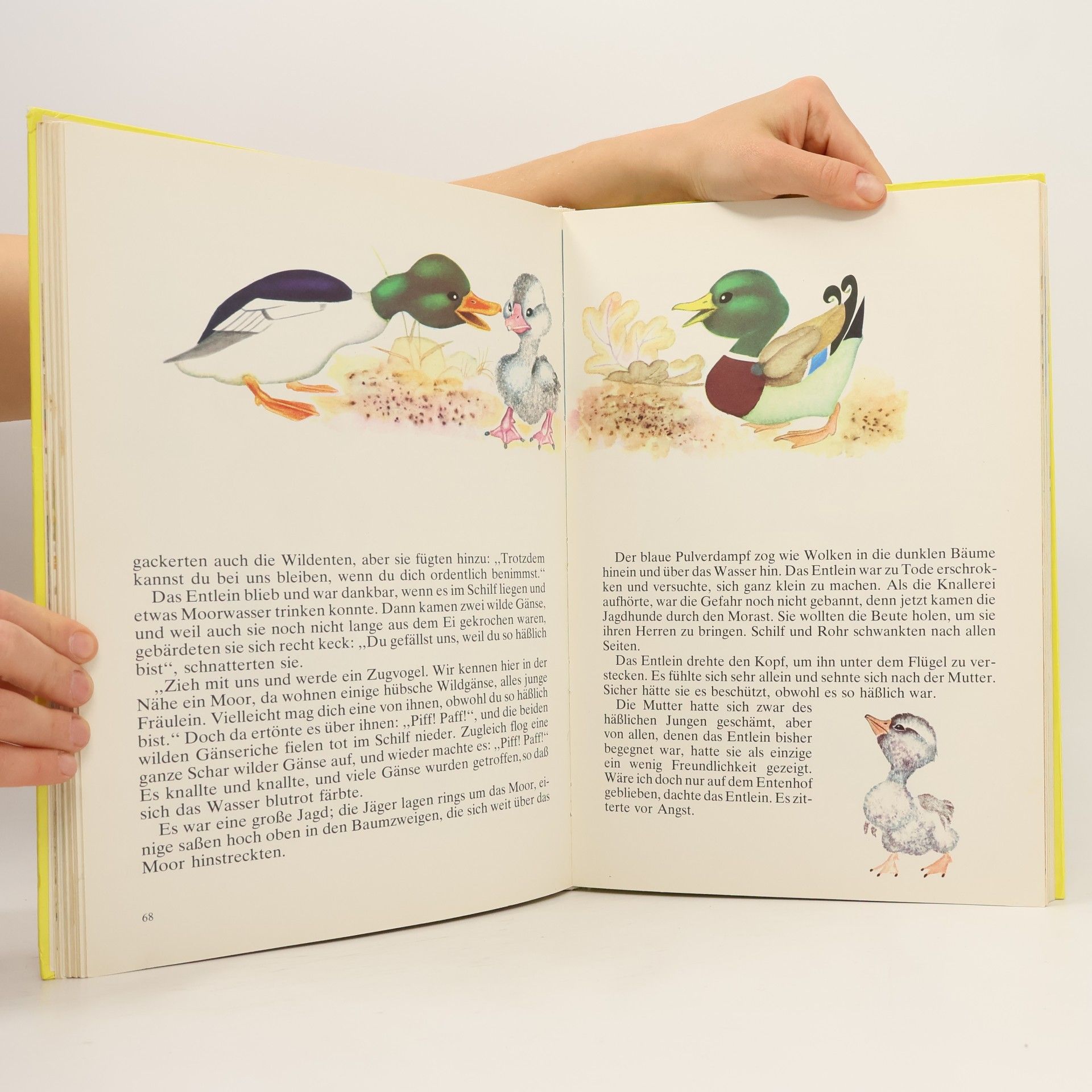 kolektiv Mein großes Märchen Buch