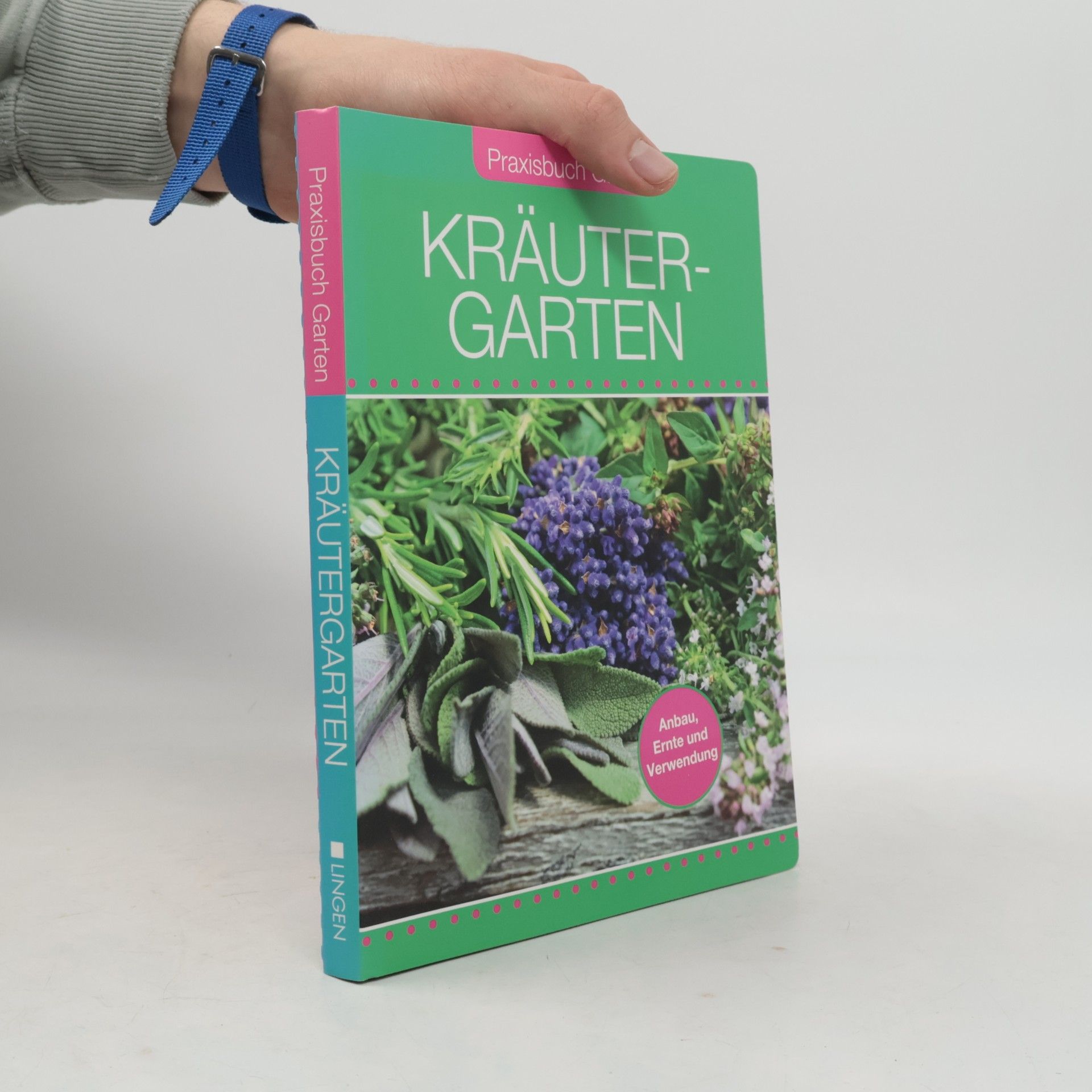 Autorenkollektiv Praxisbuch Garten. Kräutergarten
