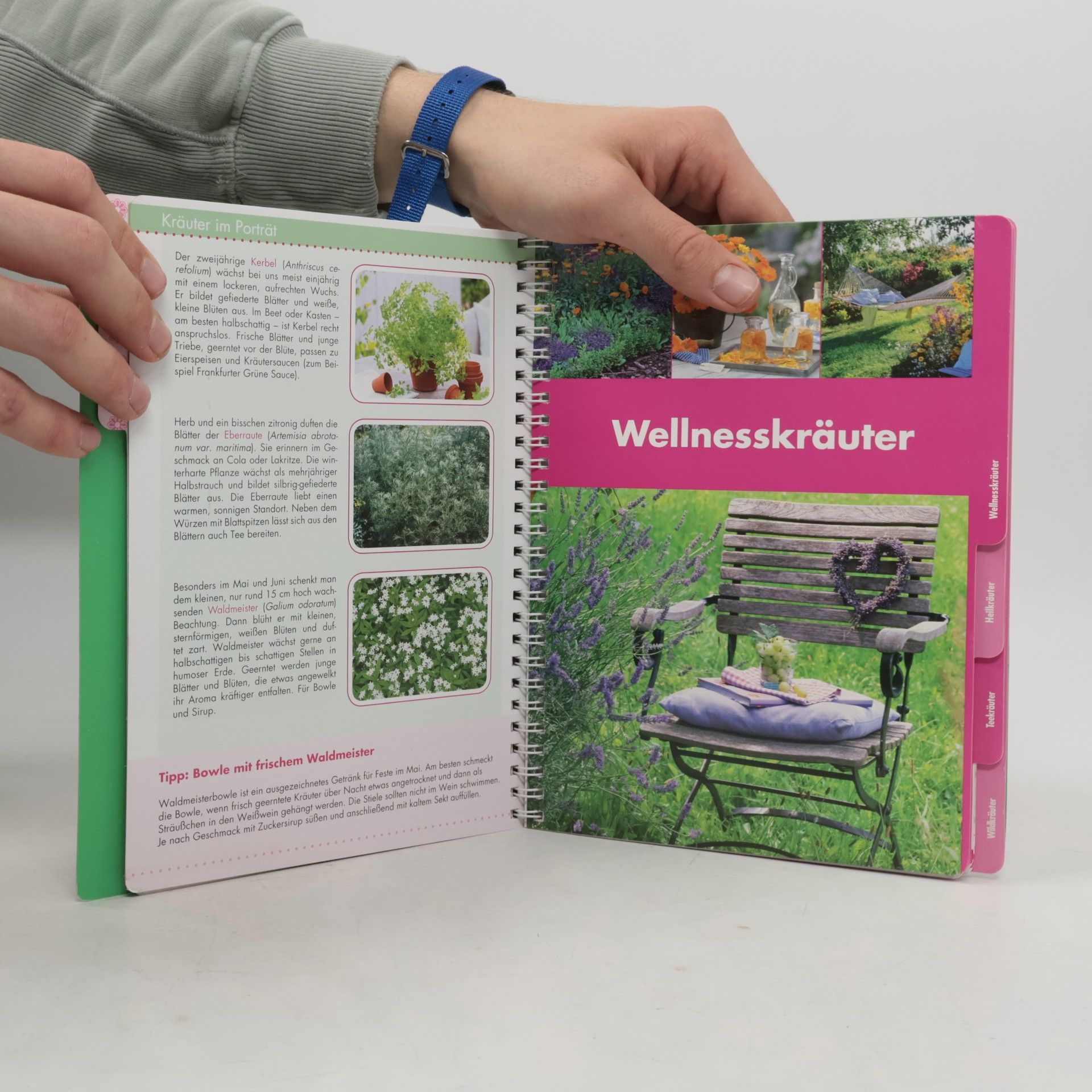 Kolektiv autorů Praxisbuch Garten. Kräutergarten