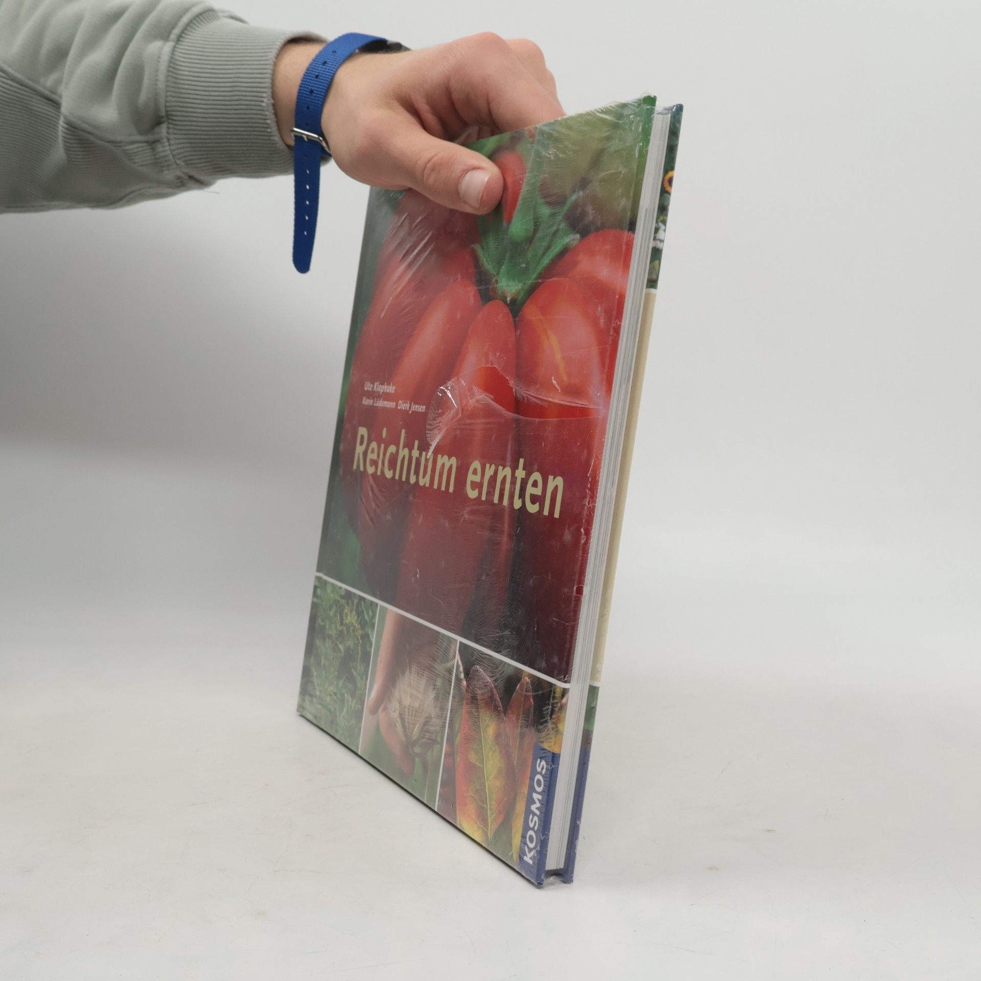 Ute Klaphake Reichtum ernten