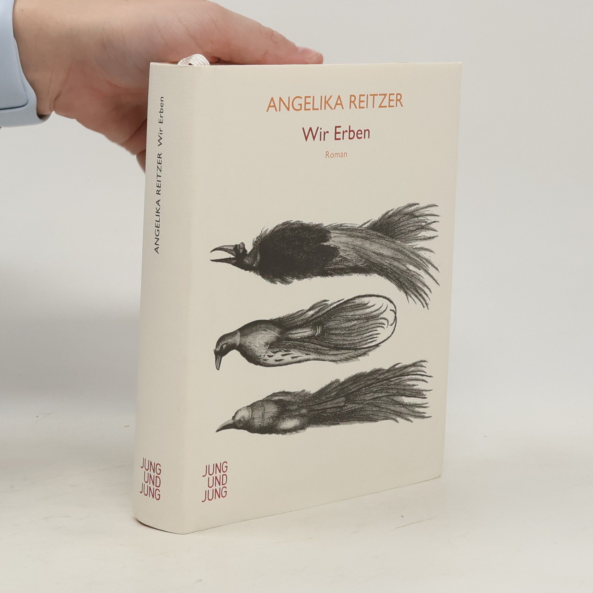 Angelika Reitzer Wir Erben : Roman