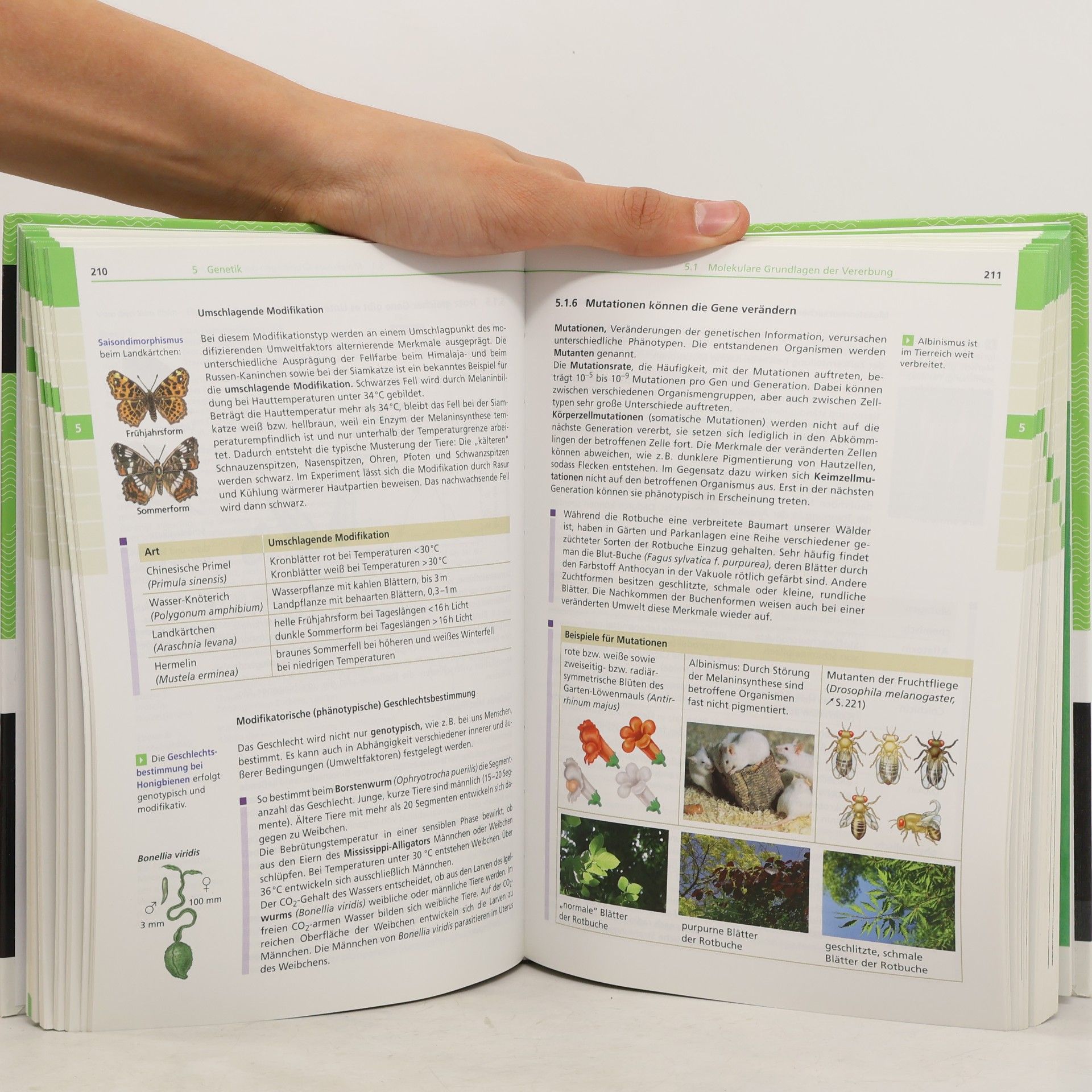 AA.VV. Biologie - Abitur