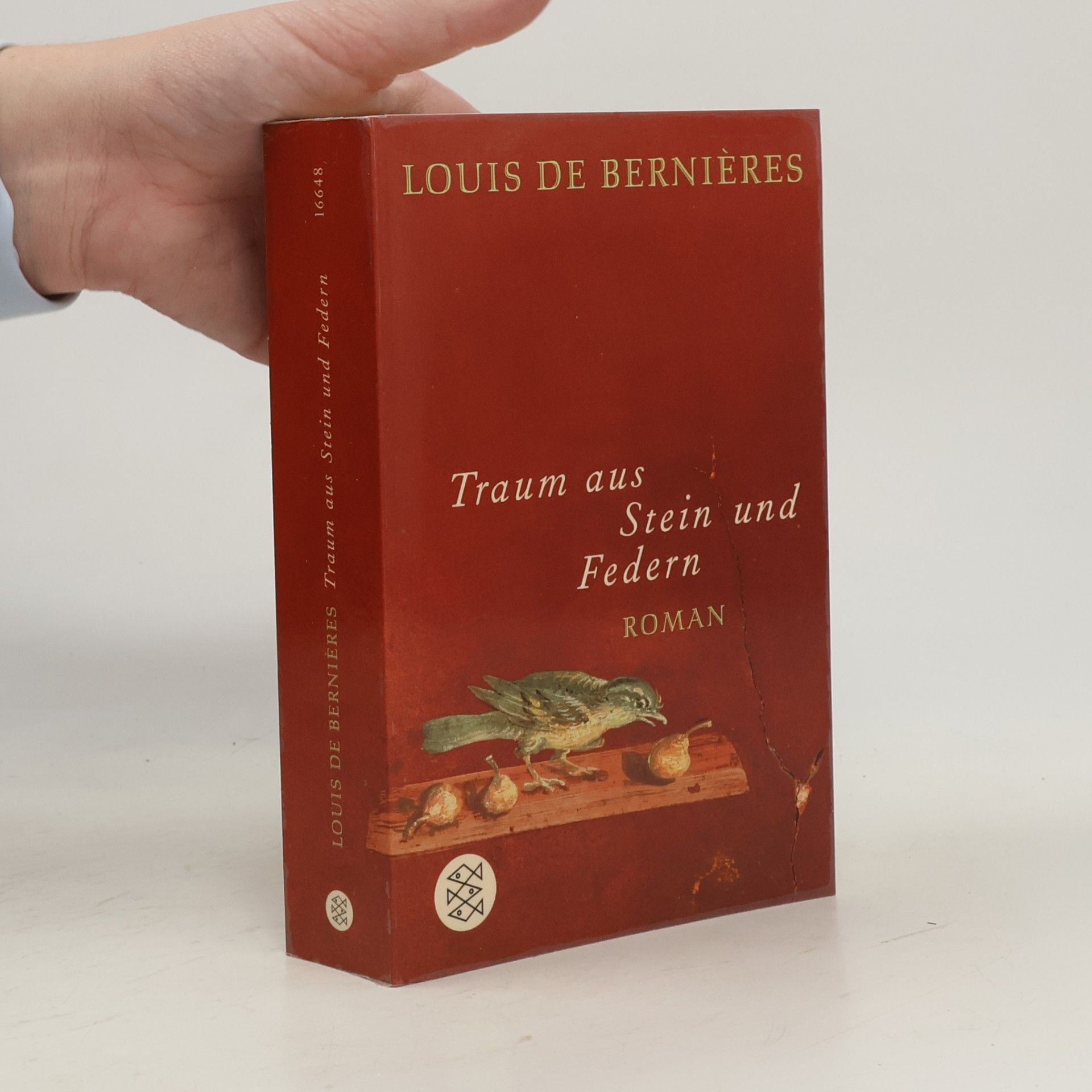 Louis de Bernières Traum aus Stein und Federn