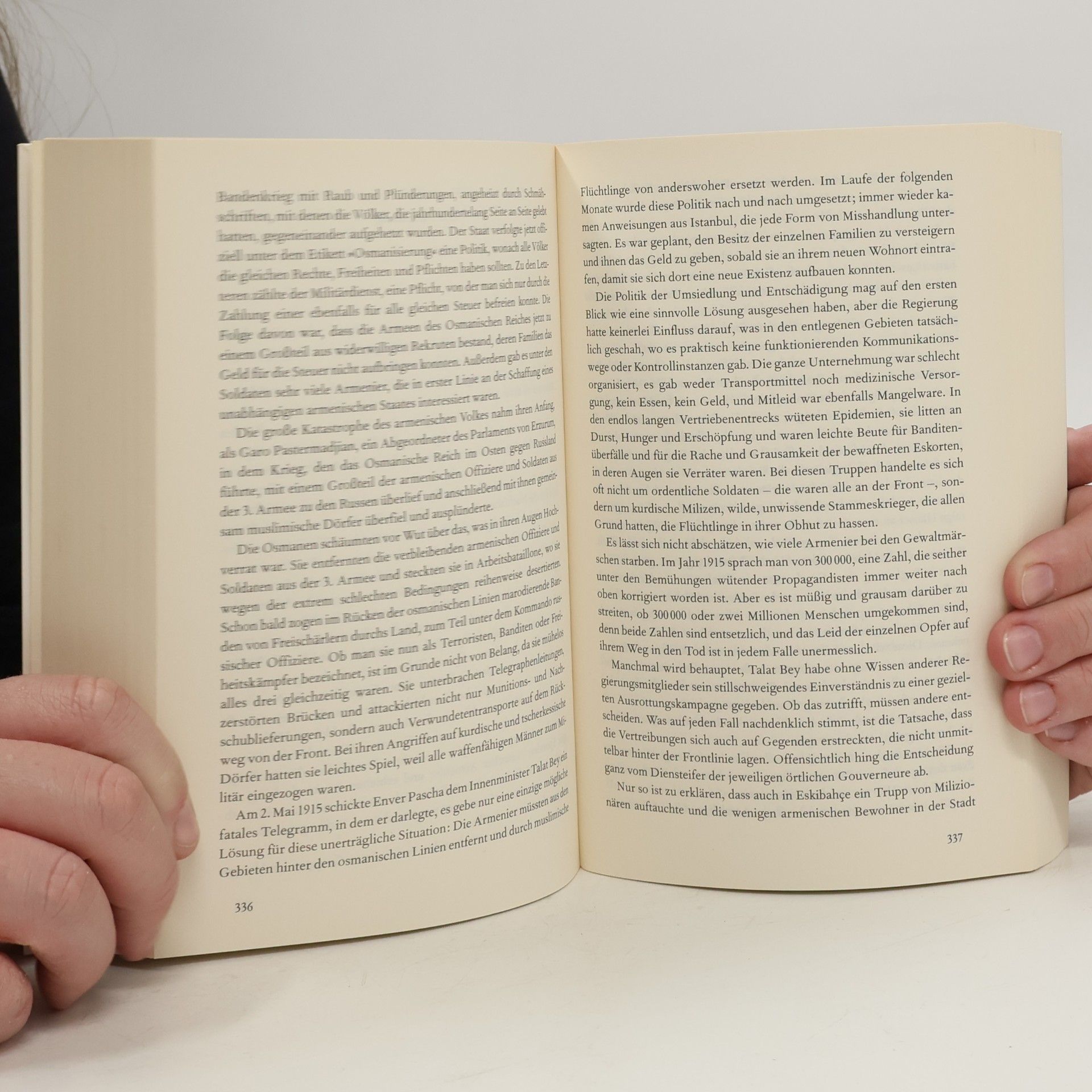 Louis de Bernieres Traum aus Stein und Federn