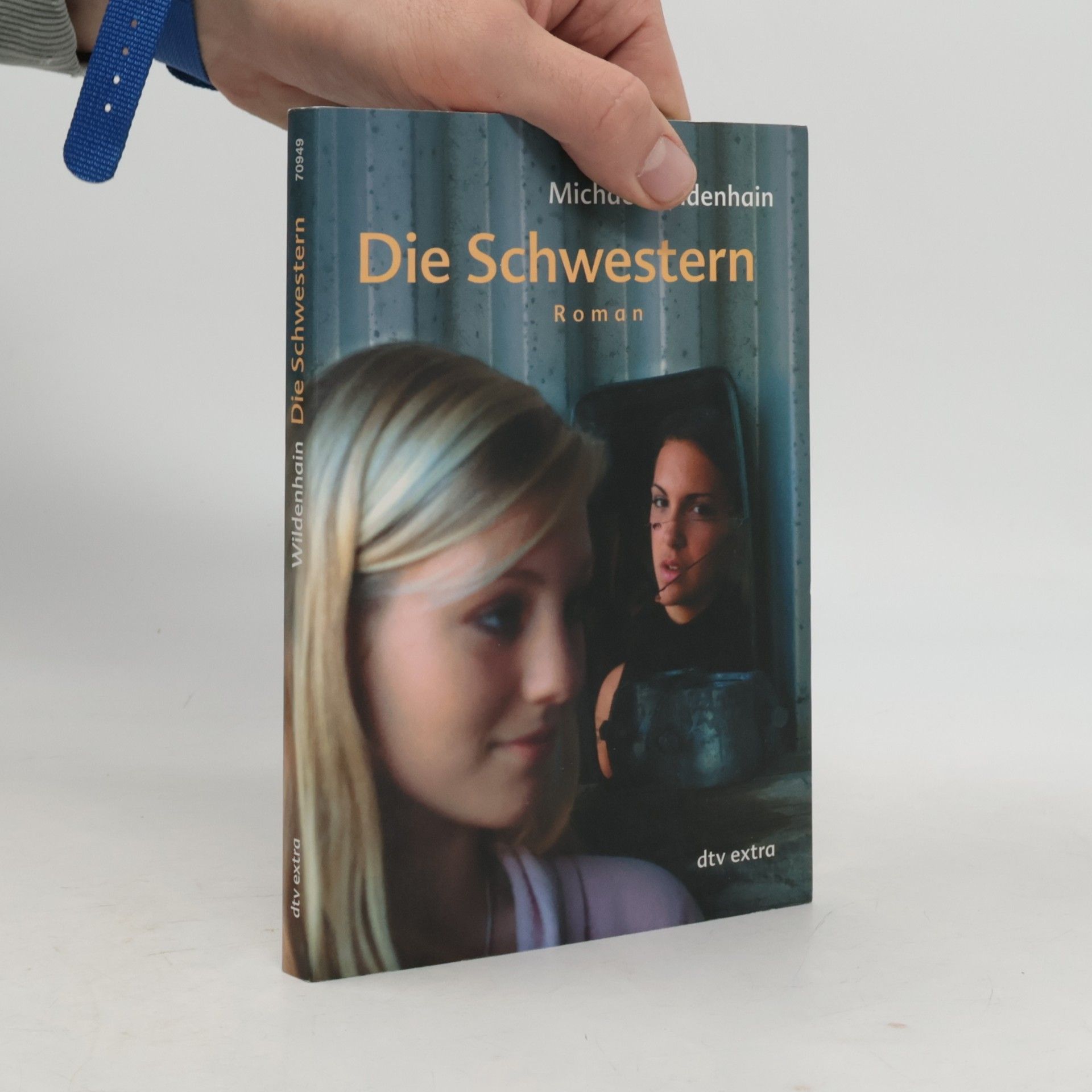 Michael Wildenhain Die Schwestern