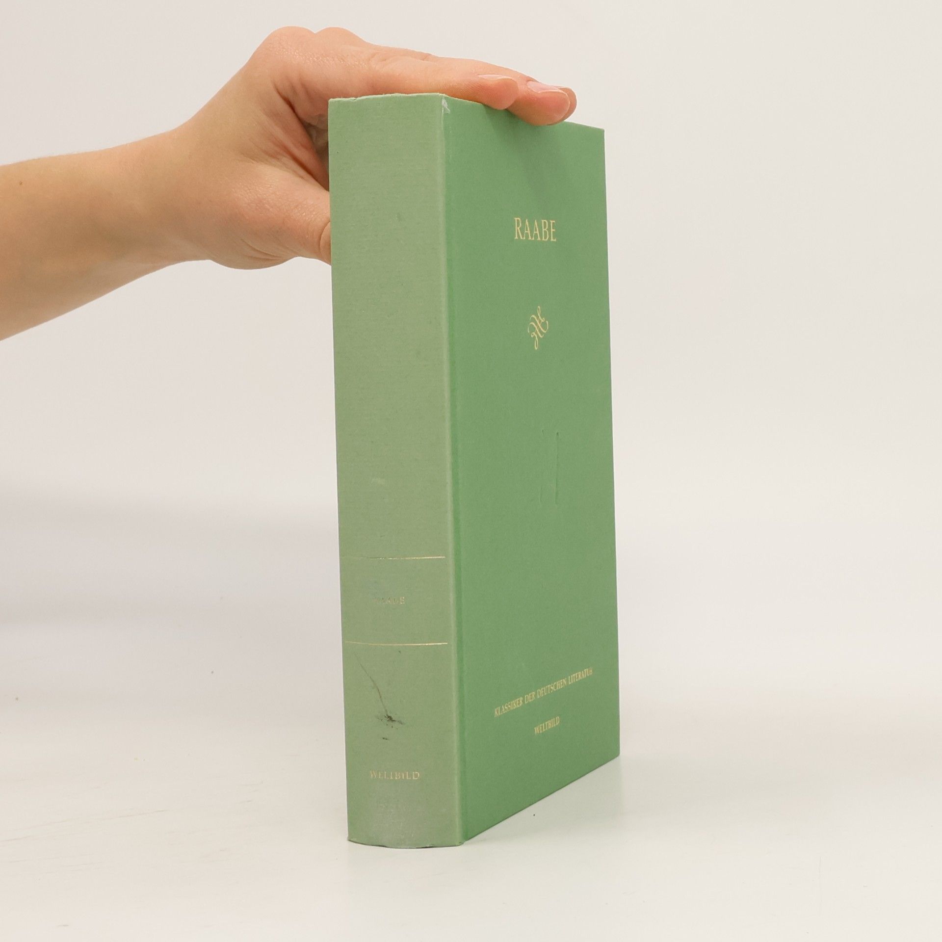 Autorenkollektiv Klassiker der Deutschen Literatur. Raabe