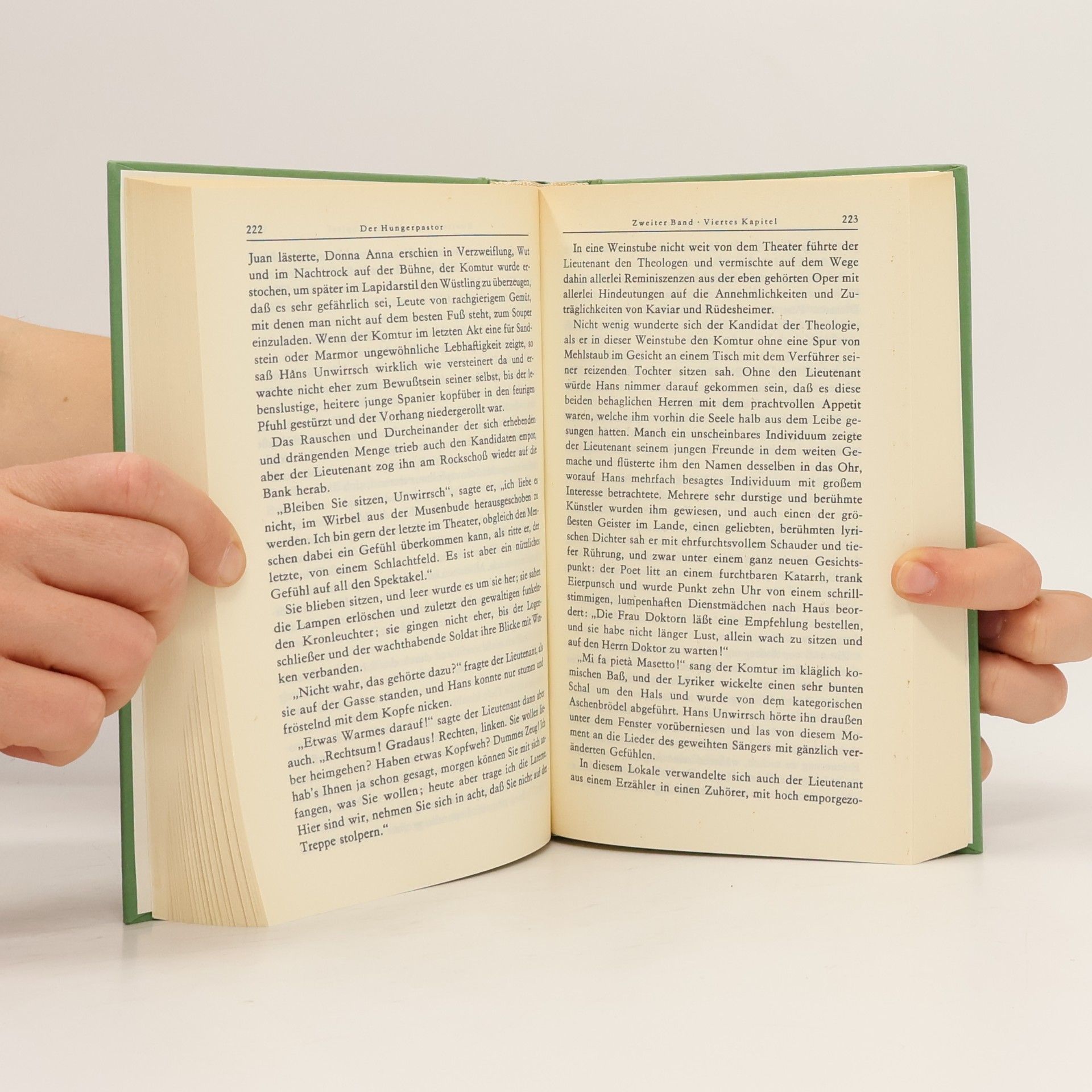 Autorenkollektiv Klassiker der Deutschen Literatur. Raabe