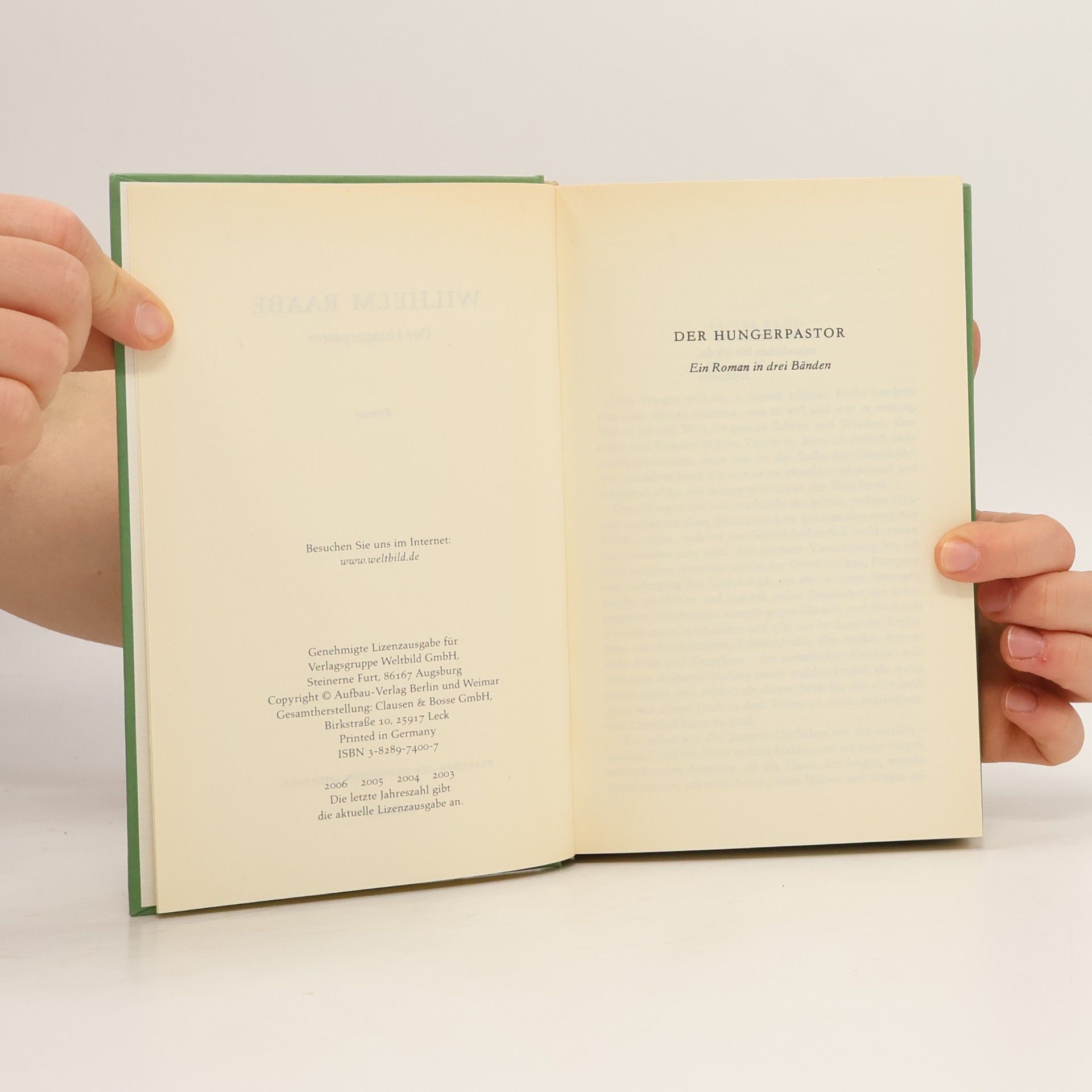Autorenkollektiv Klassiker der Deutschen Literatur. Raabe