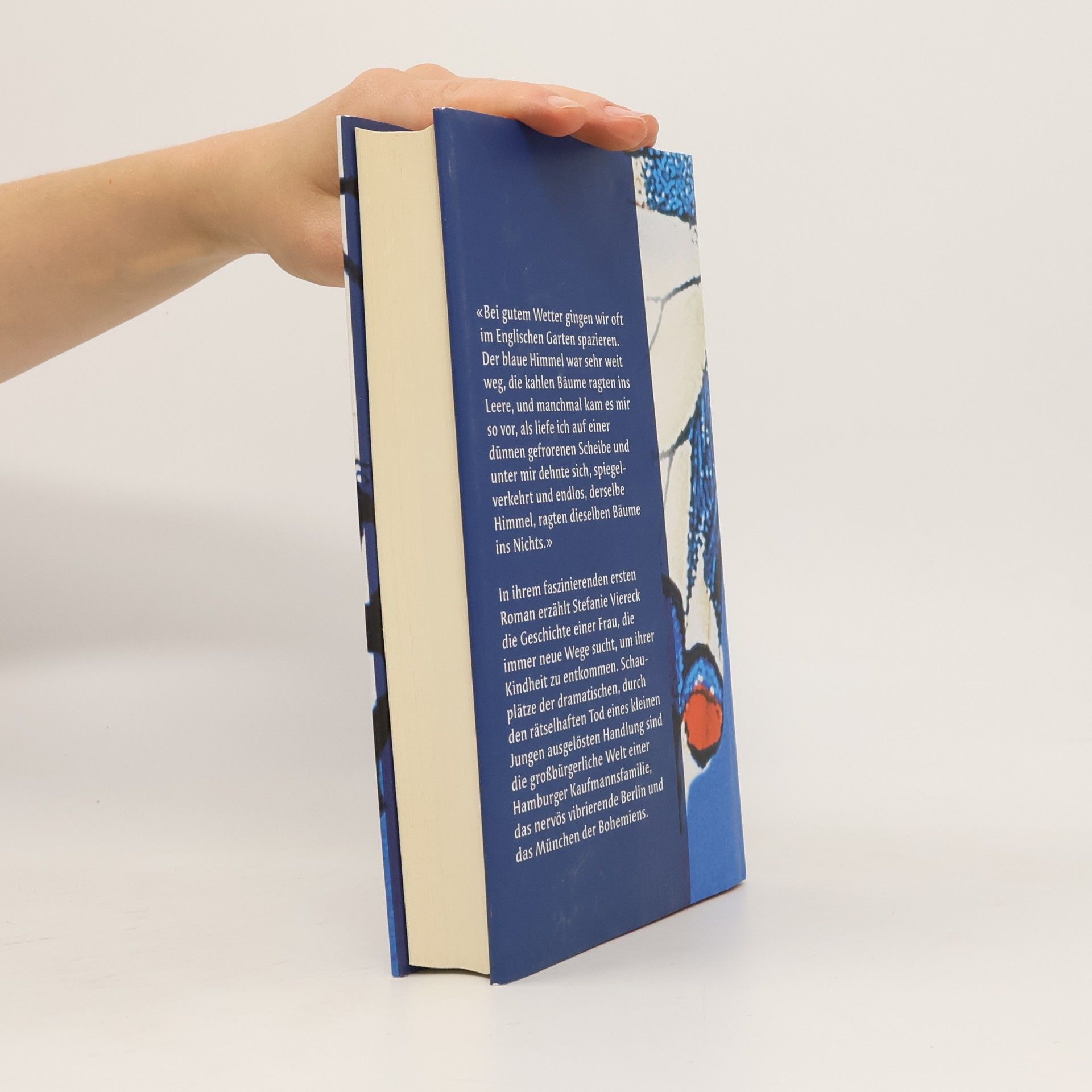 Stefanie Viereck Der blaue Grund
