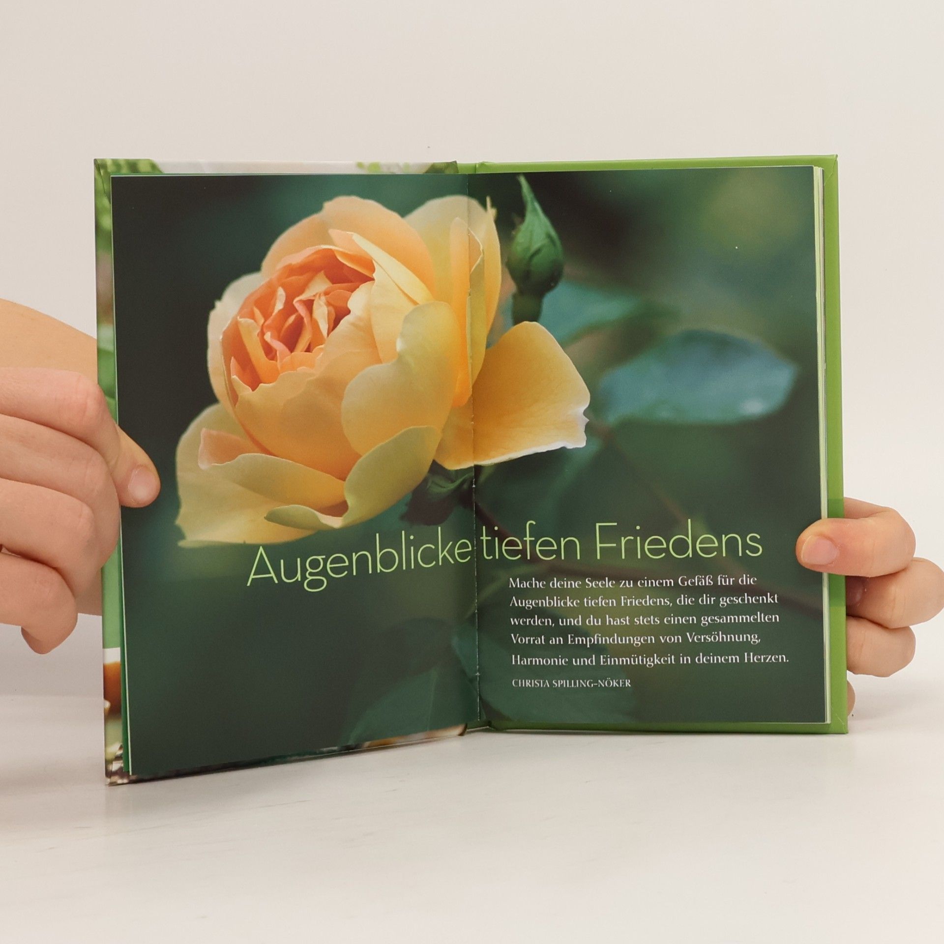 Various authors Momente für mich. Harmonie